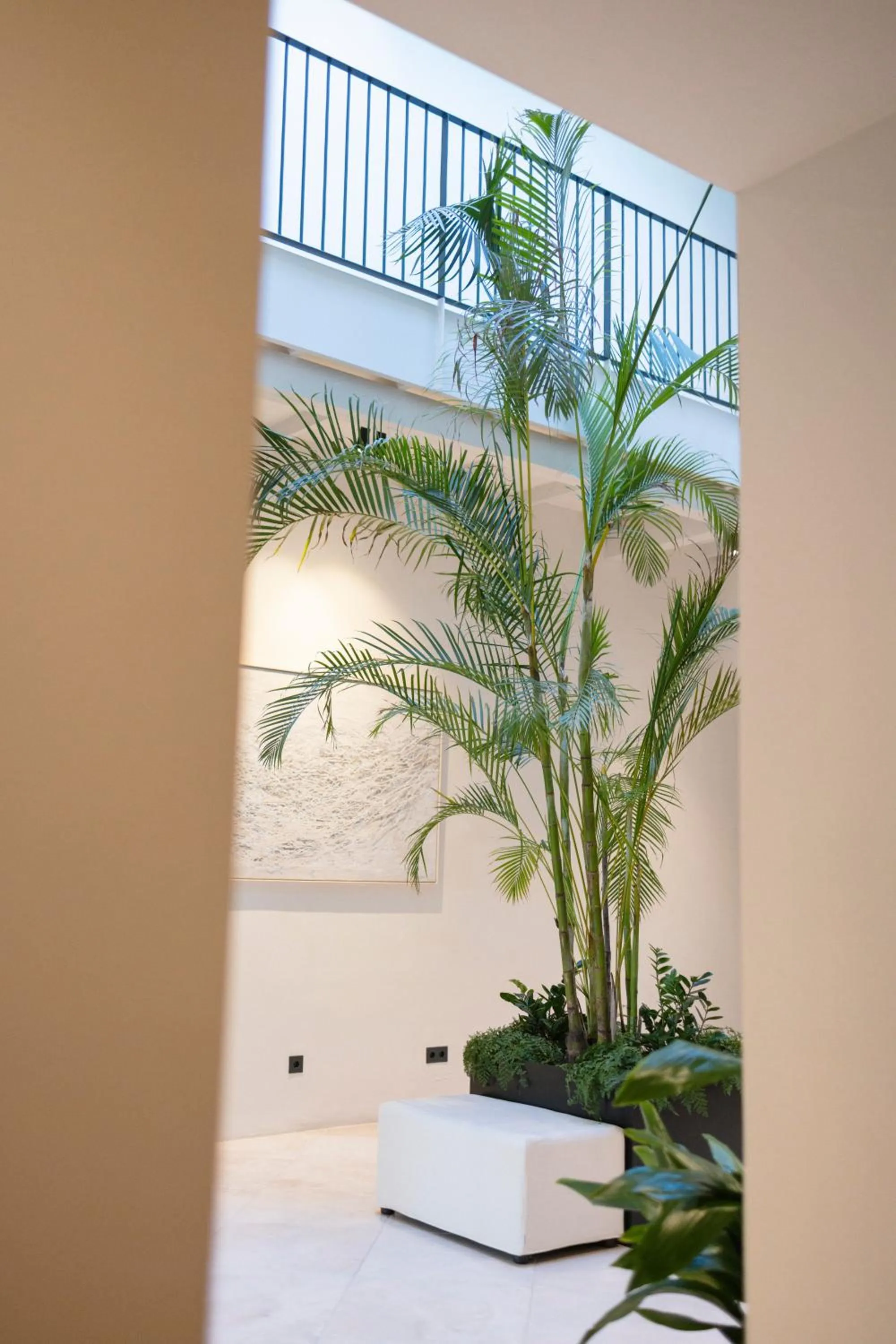 Patio in Hotel Boutique Sidonia