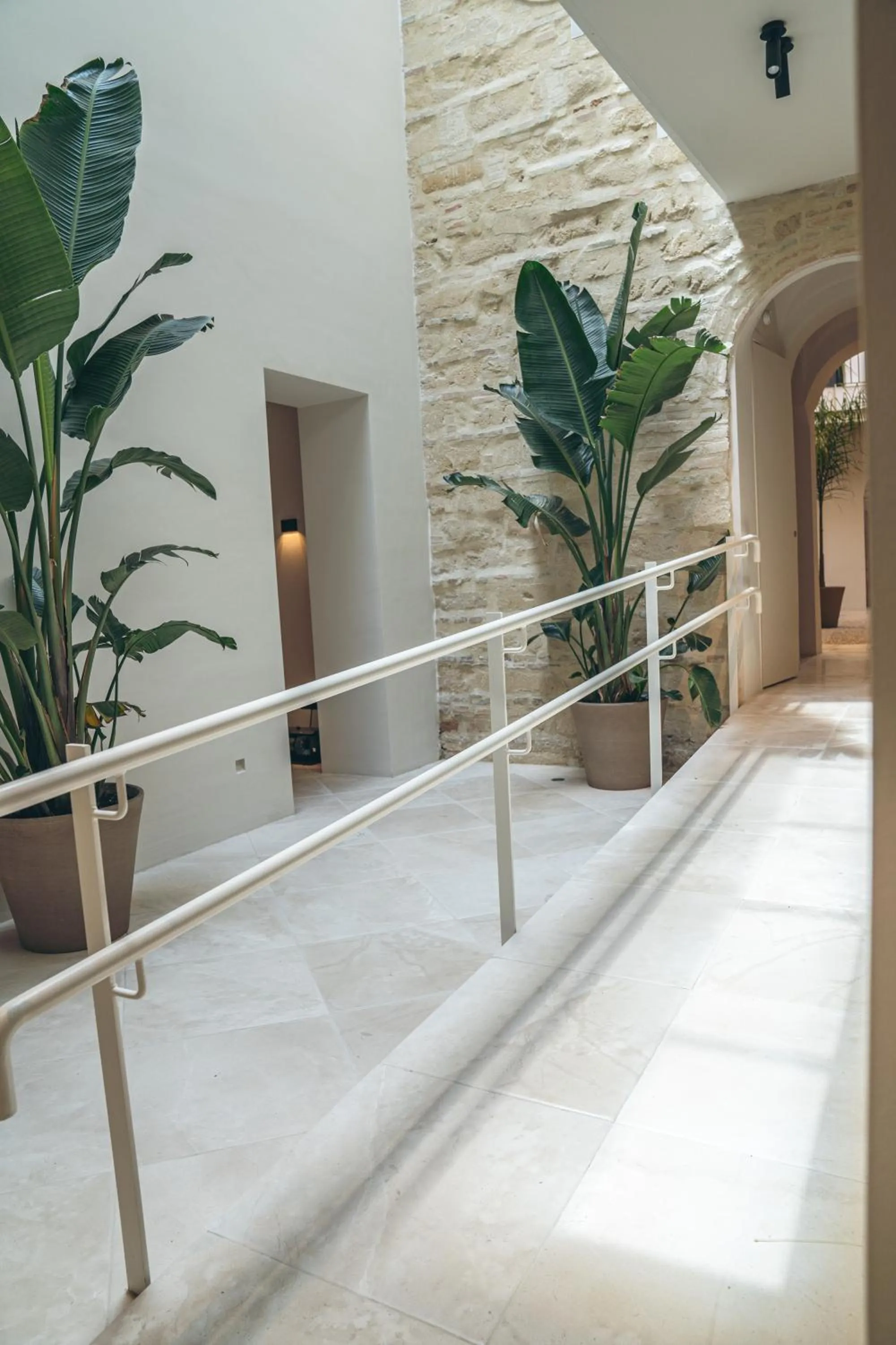 Patio in Hotel Boutique Sidonia