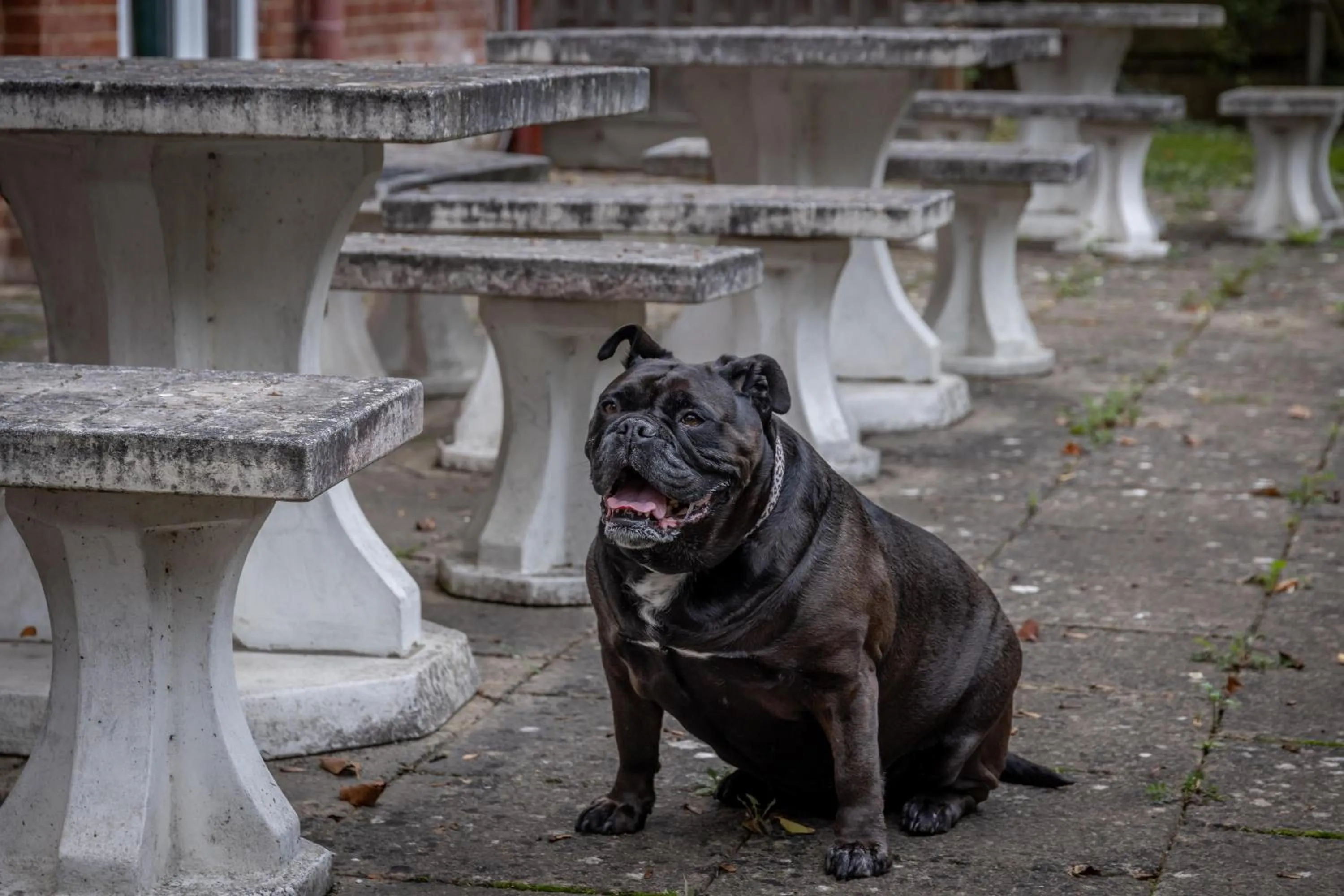 Property building in Best Western Abbots Barton Hotel