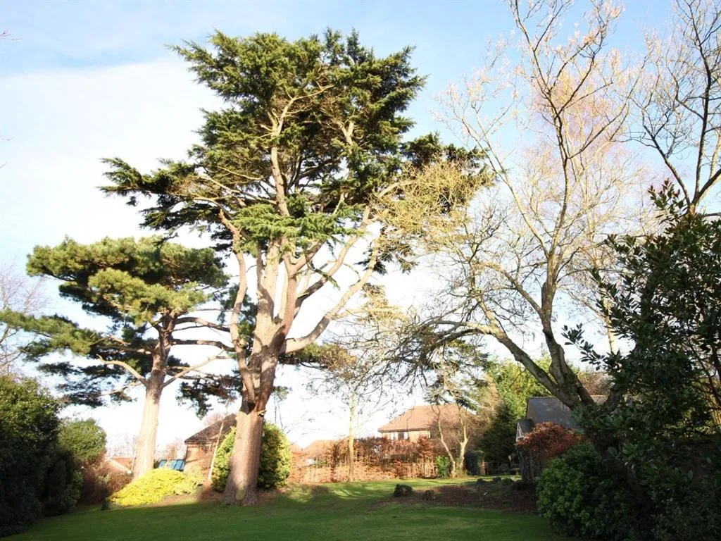 Property building in Canterbury Hotel Cottages and Apartment's