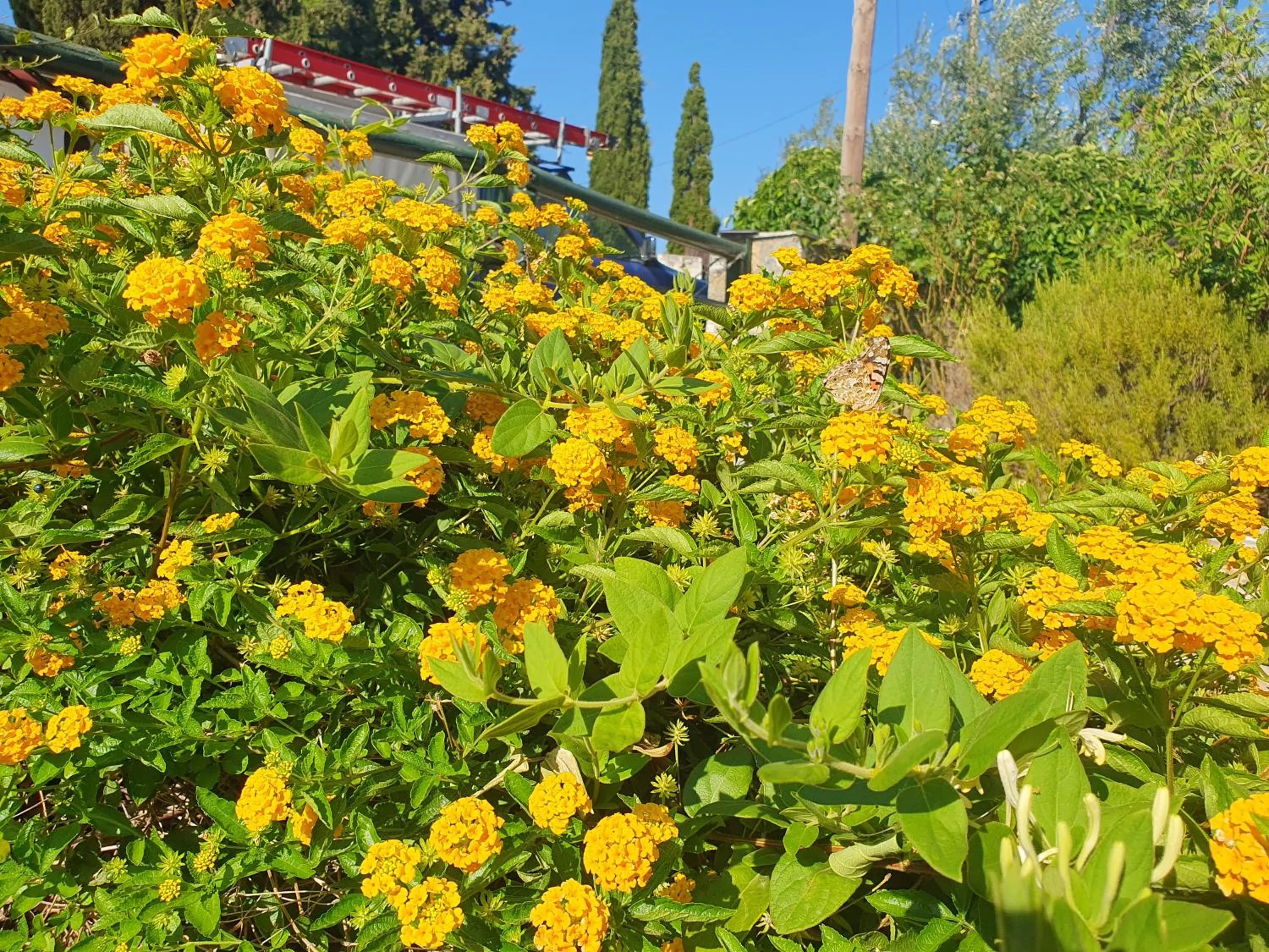 Day in Elia Village by Irida Iris Group