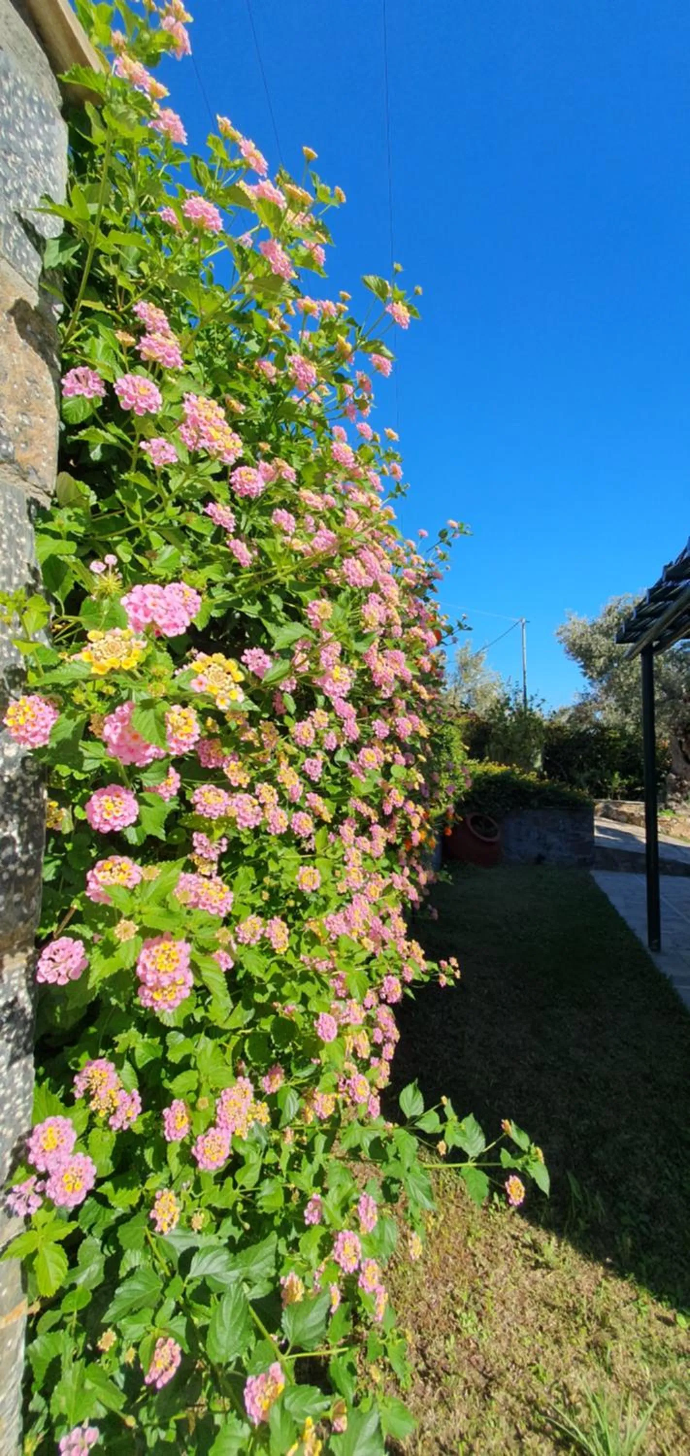 Spring in Elia Village by Irida Iris Group