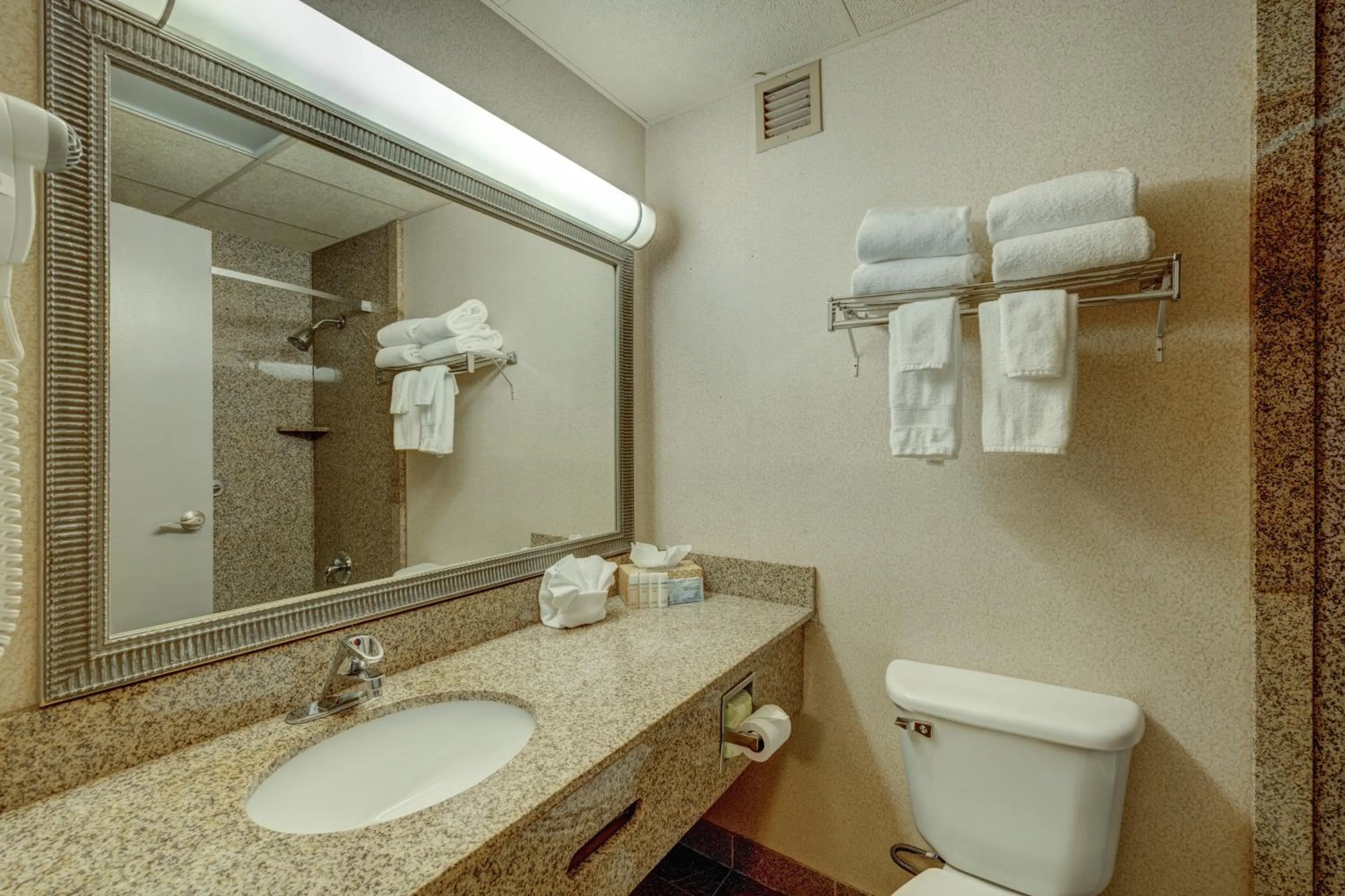 Shower in Riverside Hotel