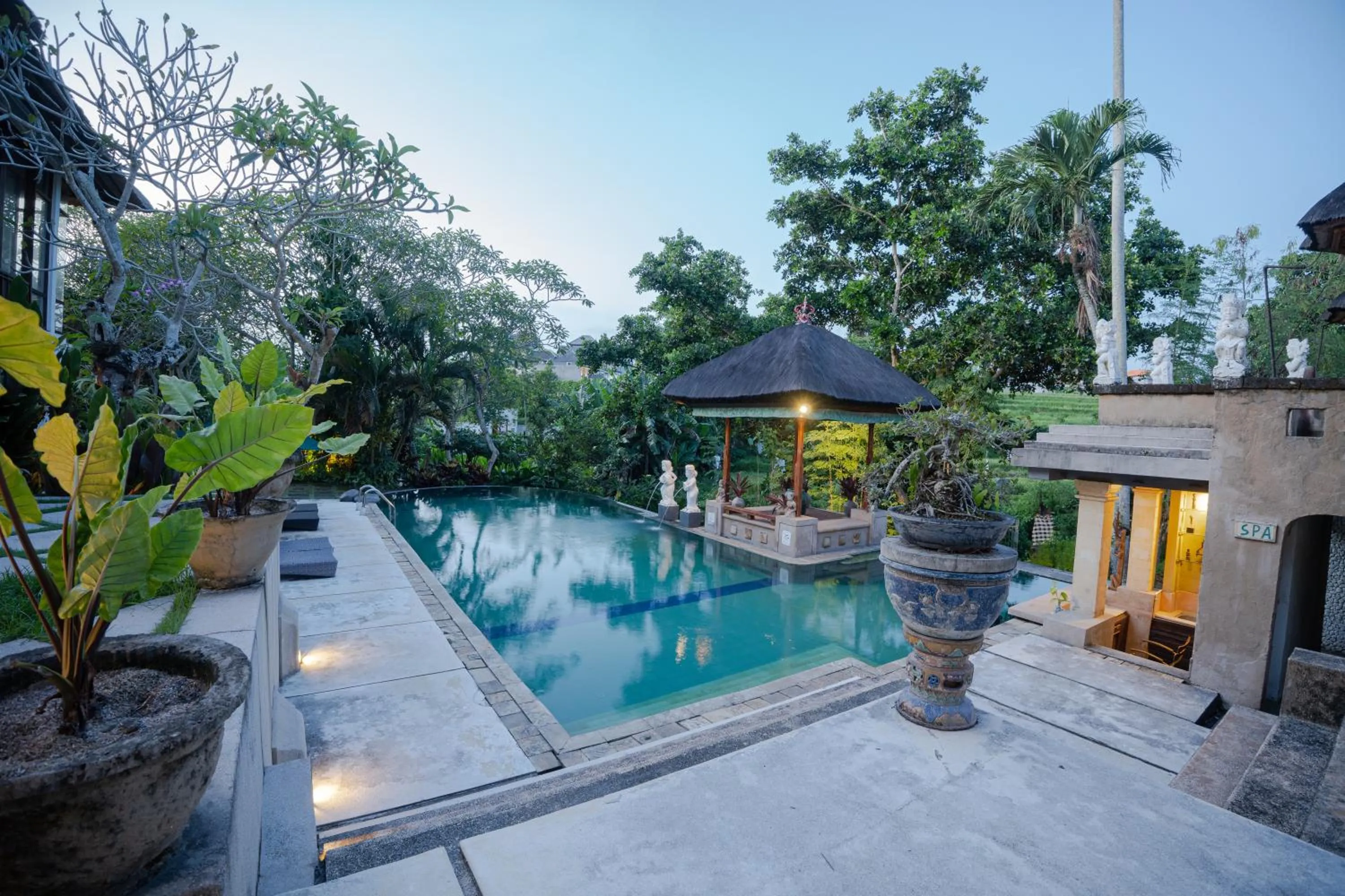 Pool view in Alam Puri Art Museum and Villas