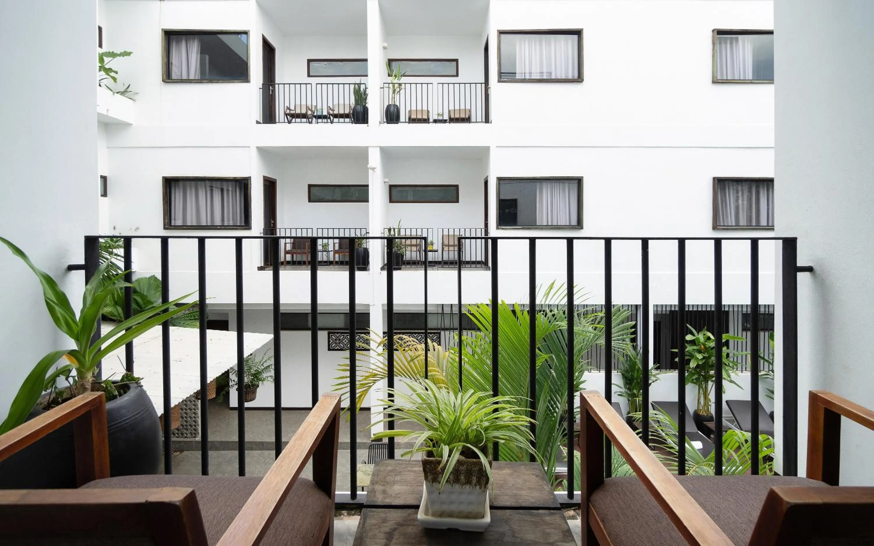 Day in The Calm Oasis