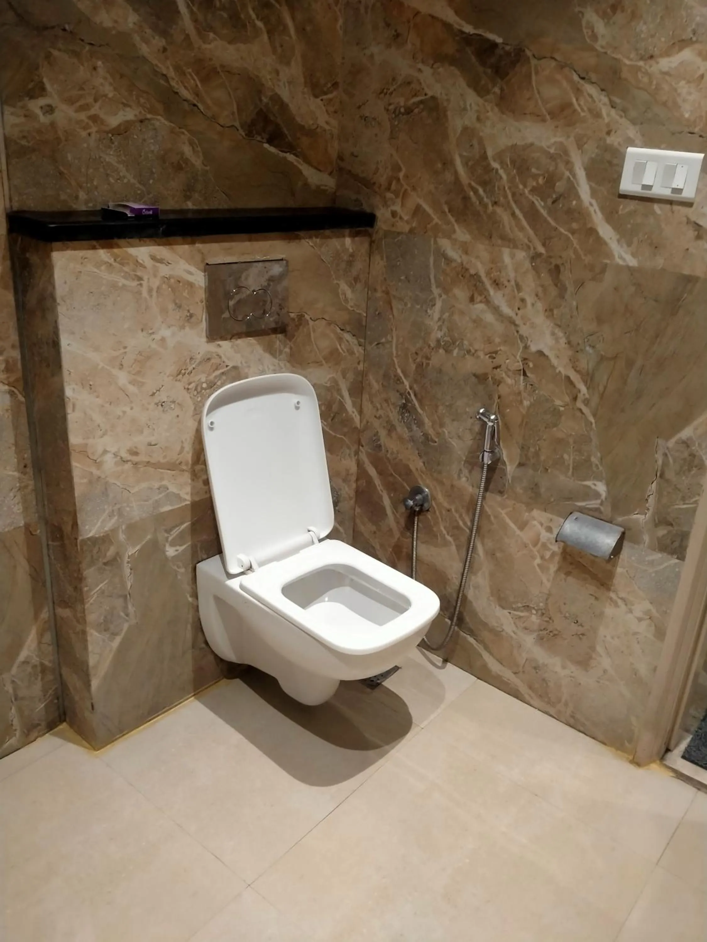 Toilet in Hotel Tradition 50 mtr from Golden temple