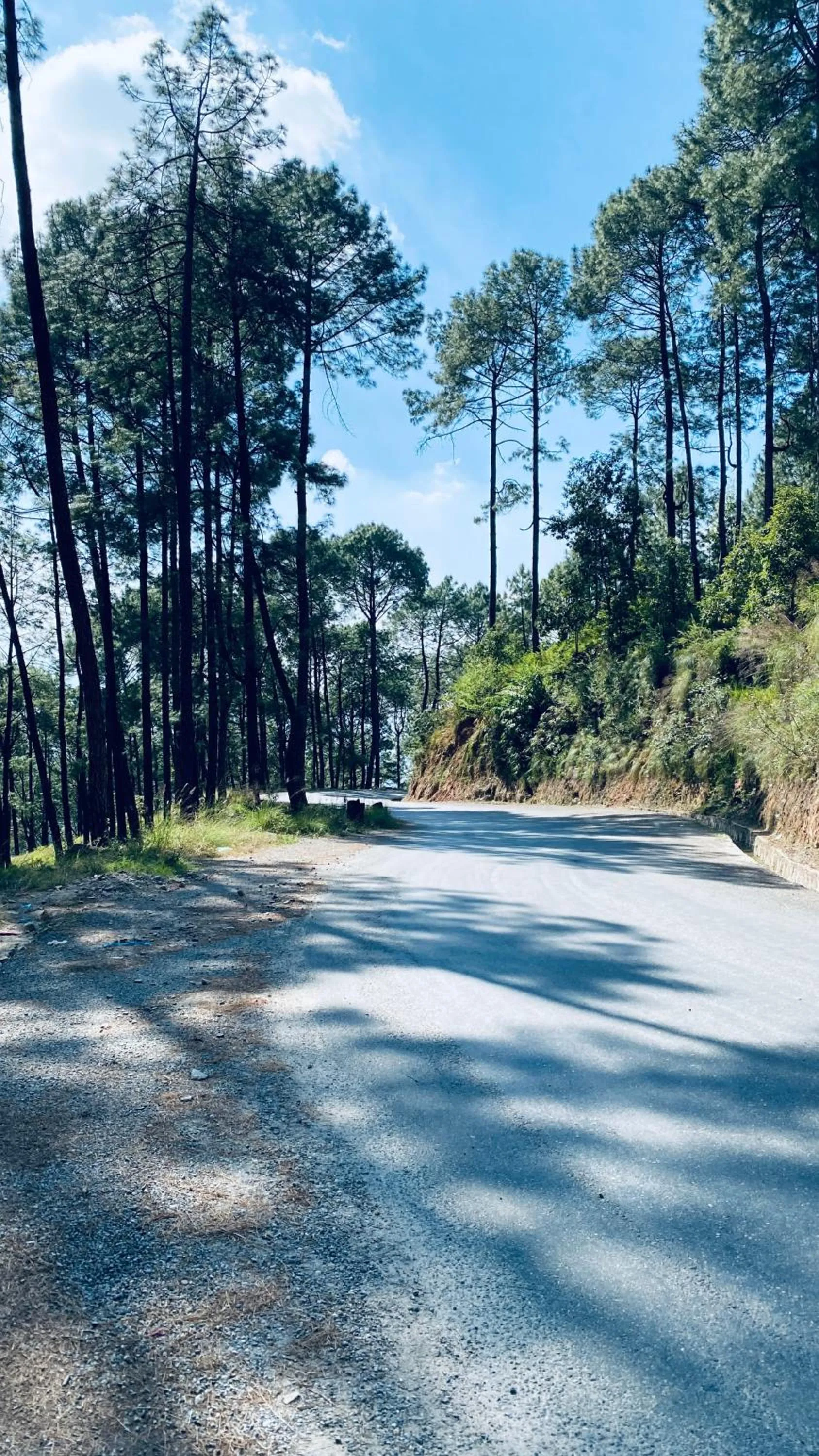Natural landscape in Mountain Vista Retreat - Nagarkot