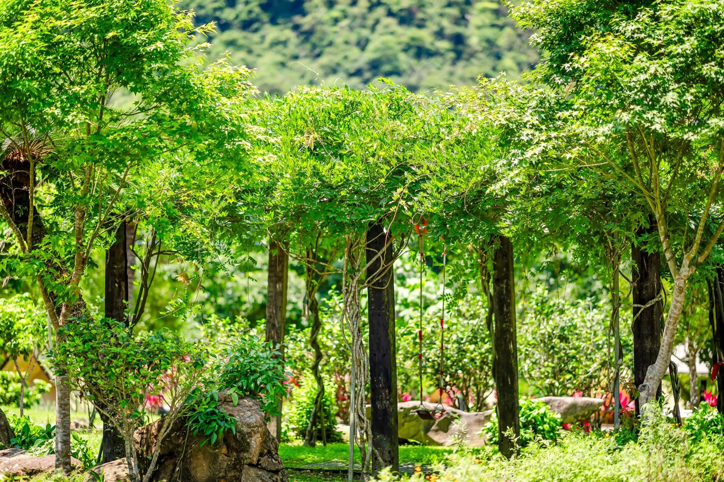 Garden view in Na Sun Na Gu