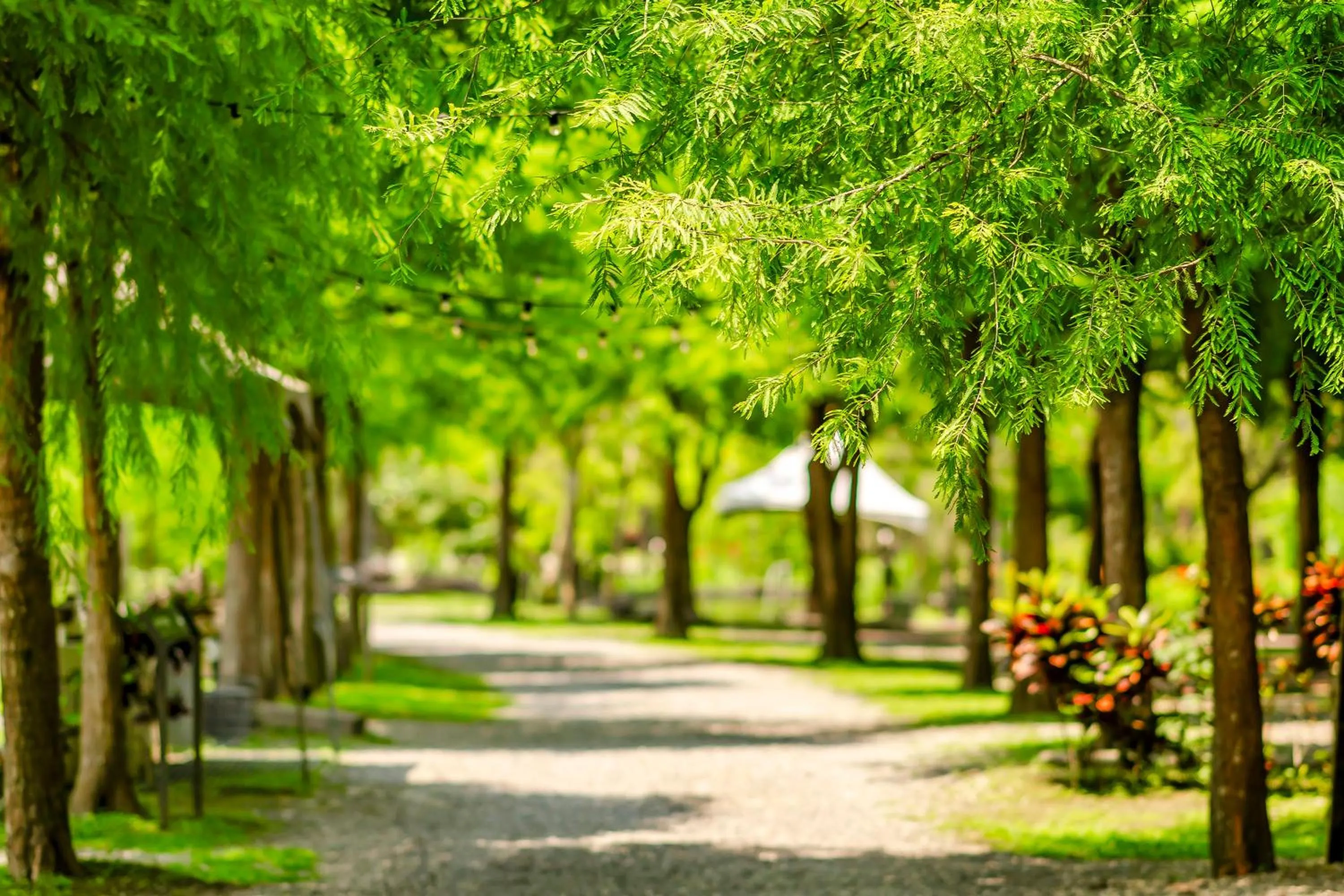 Natural landscape in Na Sun Na Gu