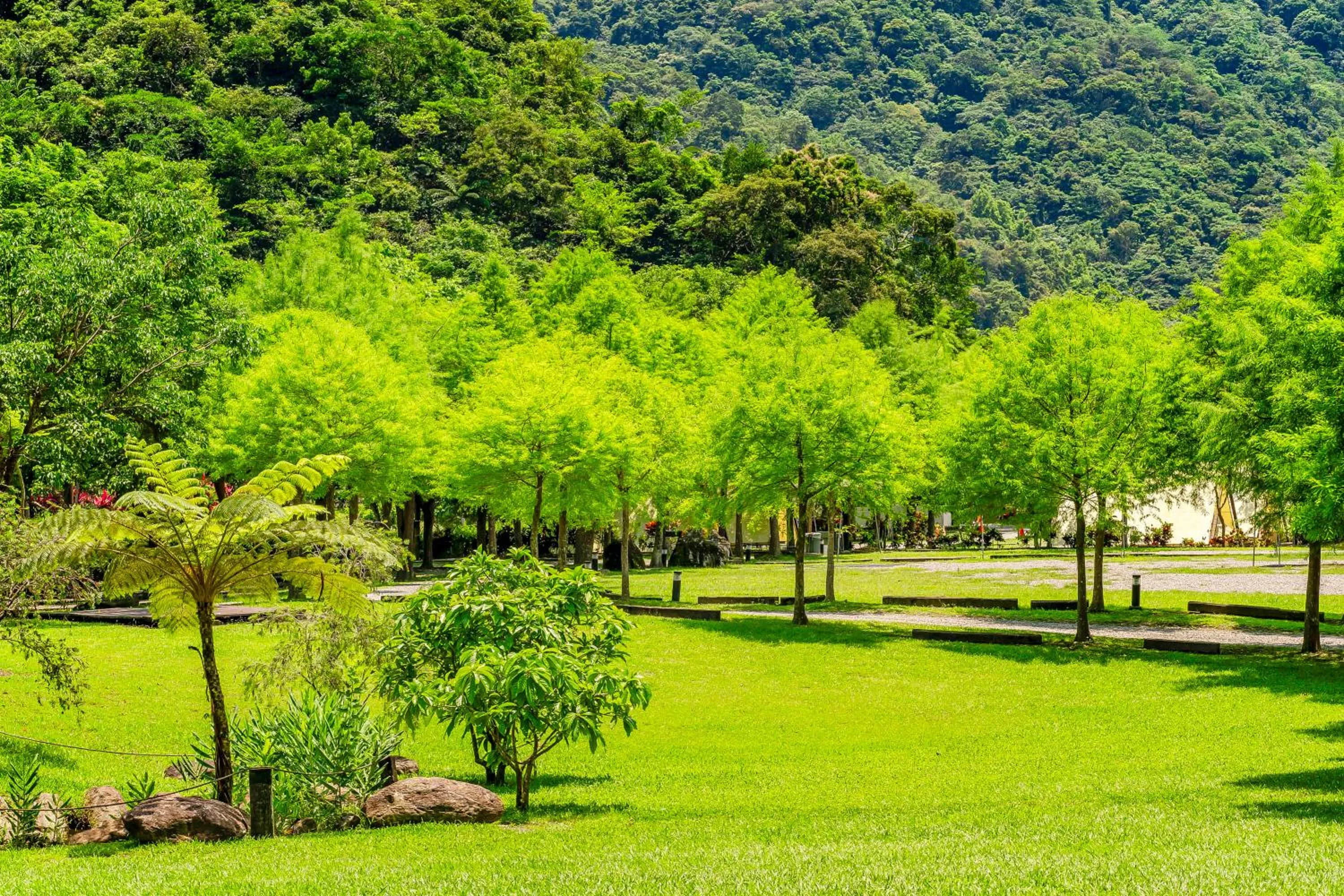 Natural landscape in Na Sun Na Gu