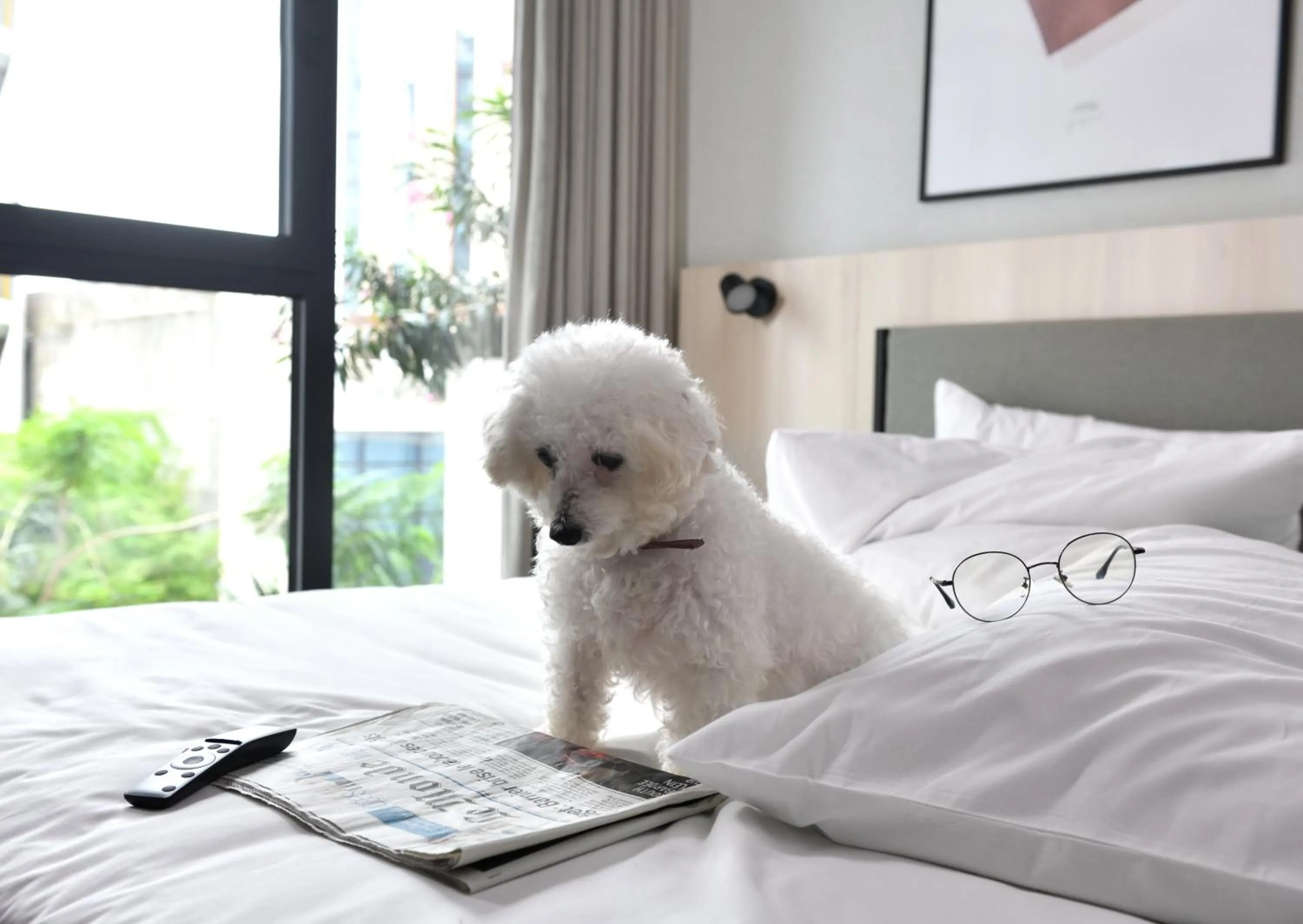 Animals, Bed in Aparthotel Adagio Abidjan Marcory