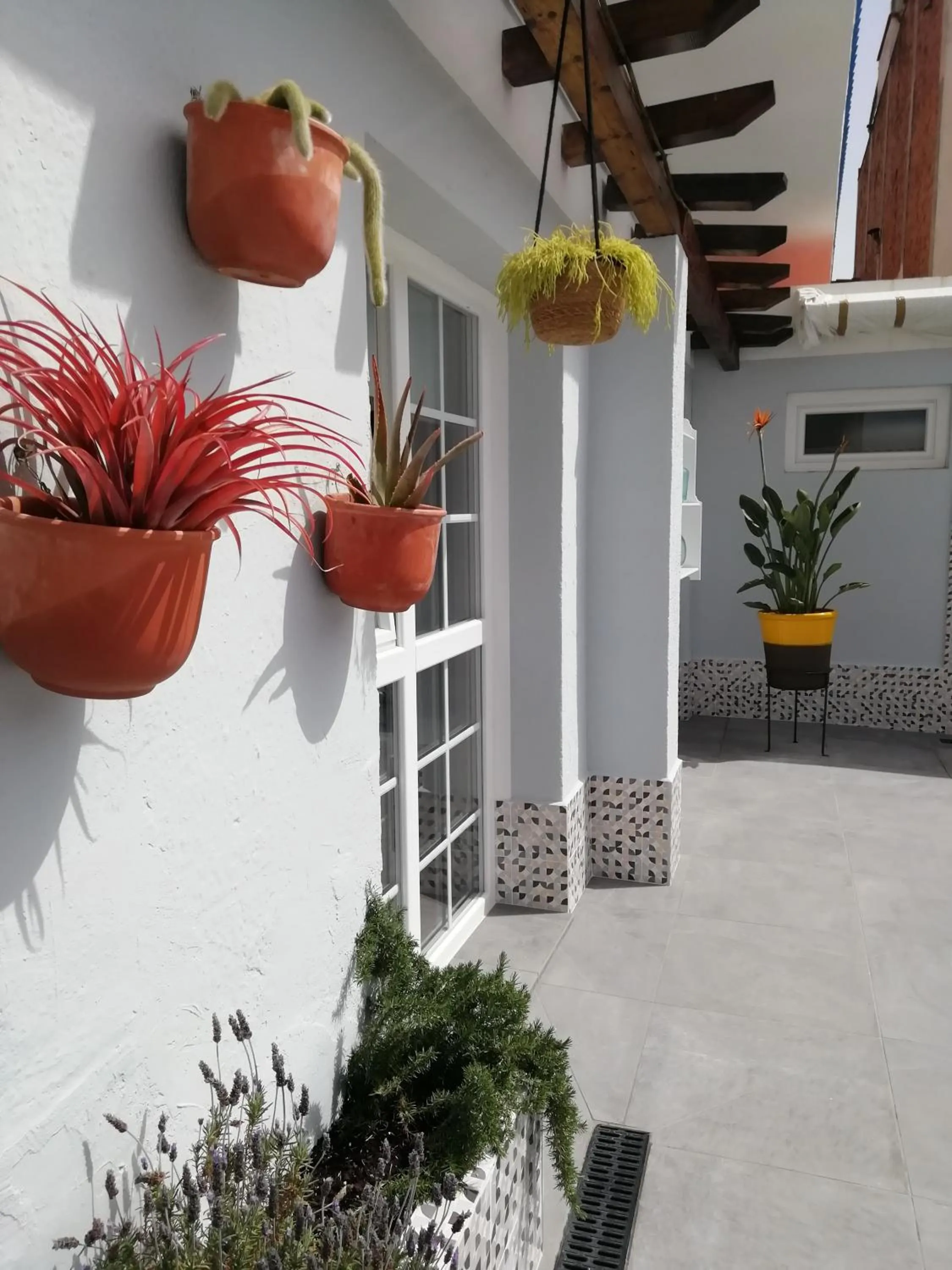 Patio in Hotel Mediterrani Express