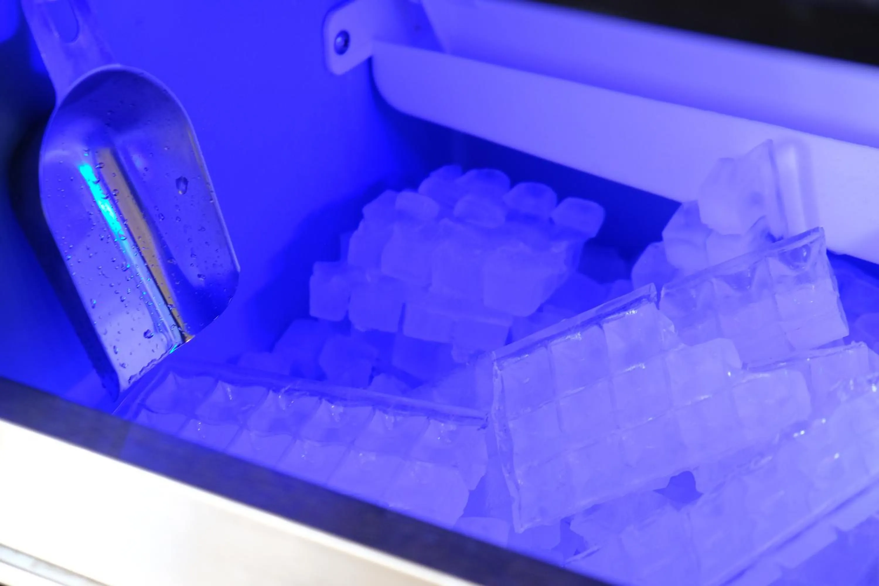 Lobby or reception in Stay Inn Muskoka