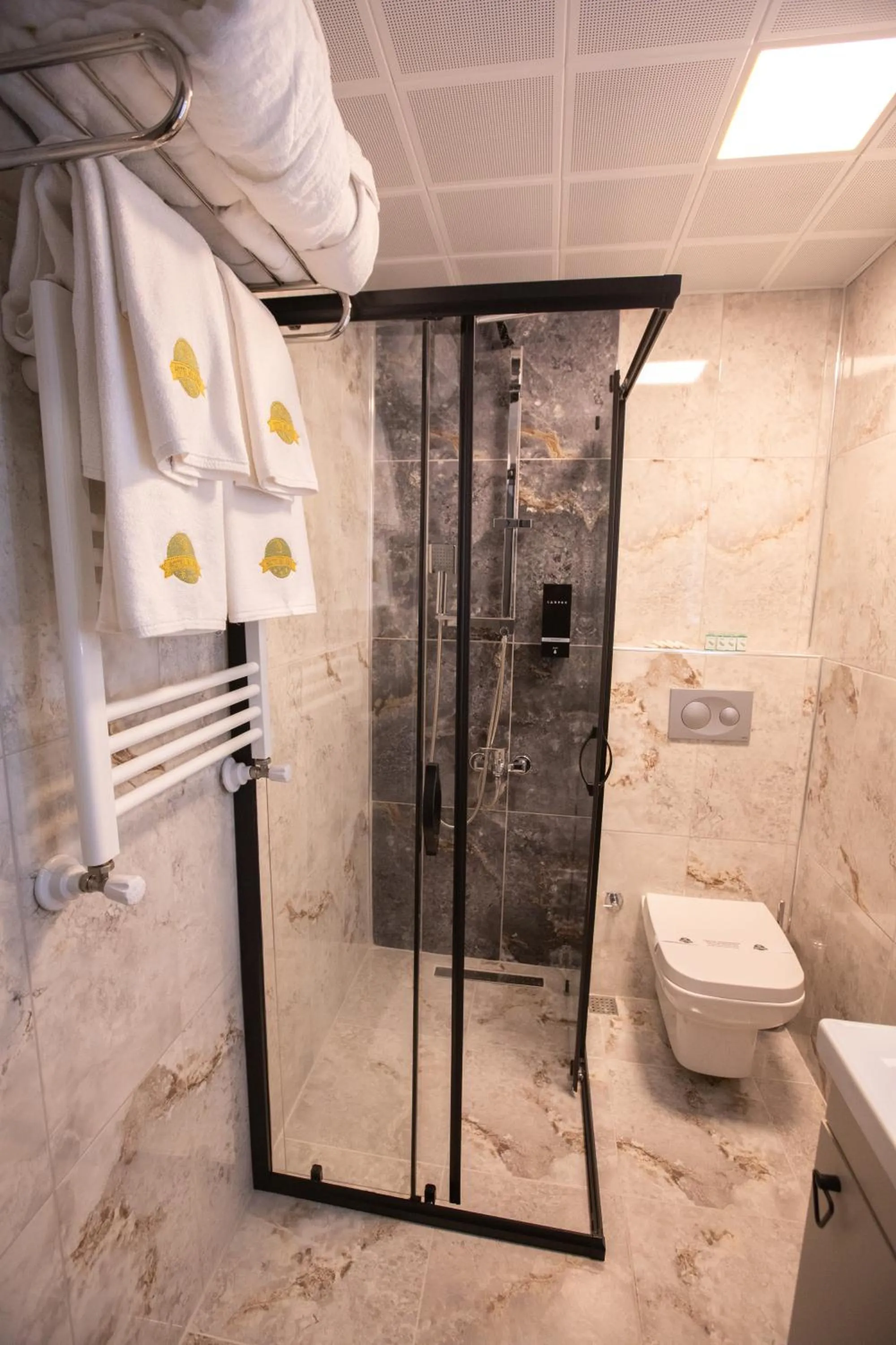 Shower in Hotel Milano