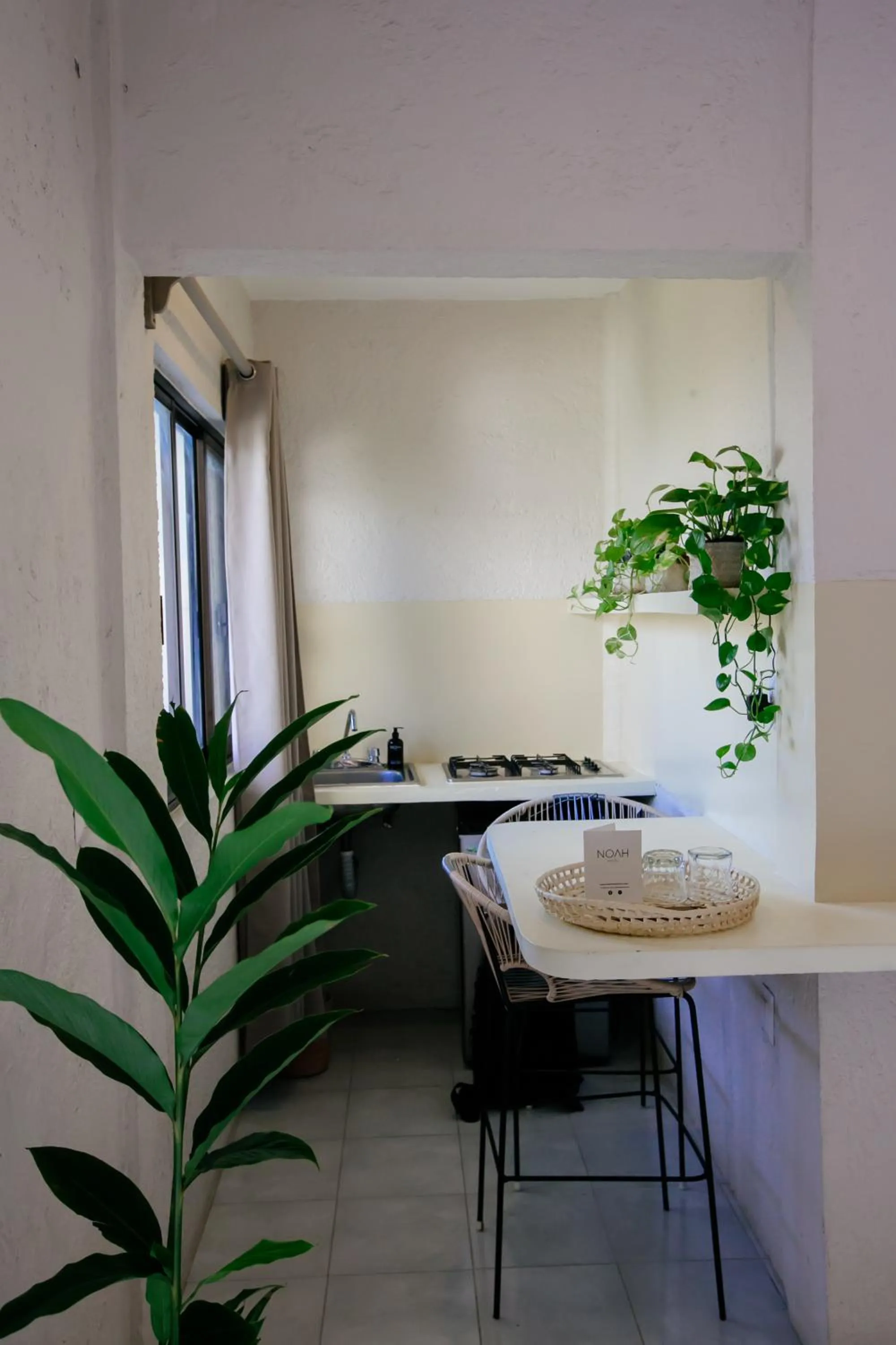 Kitchen or kitchenette in Hotel Noah Tulum