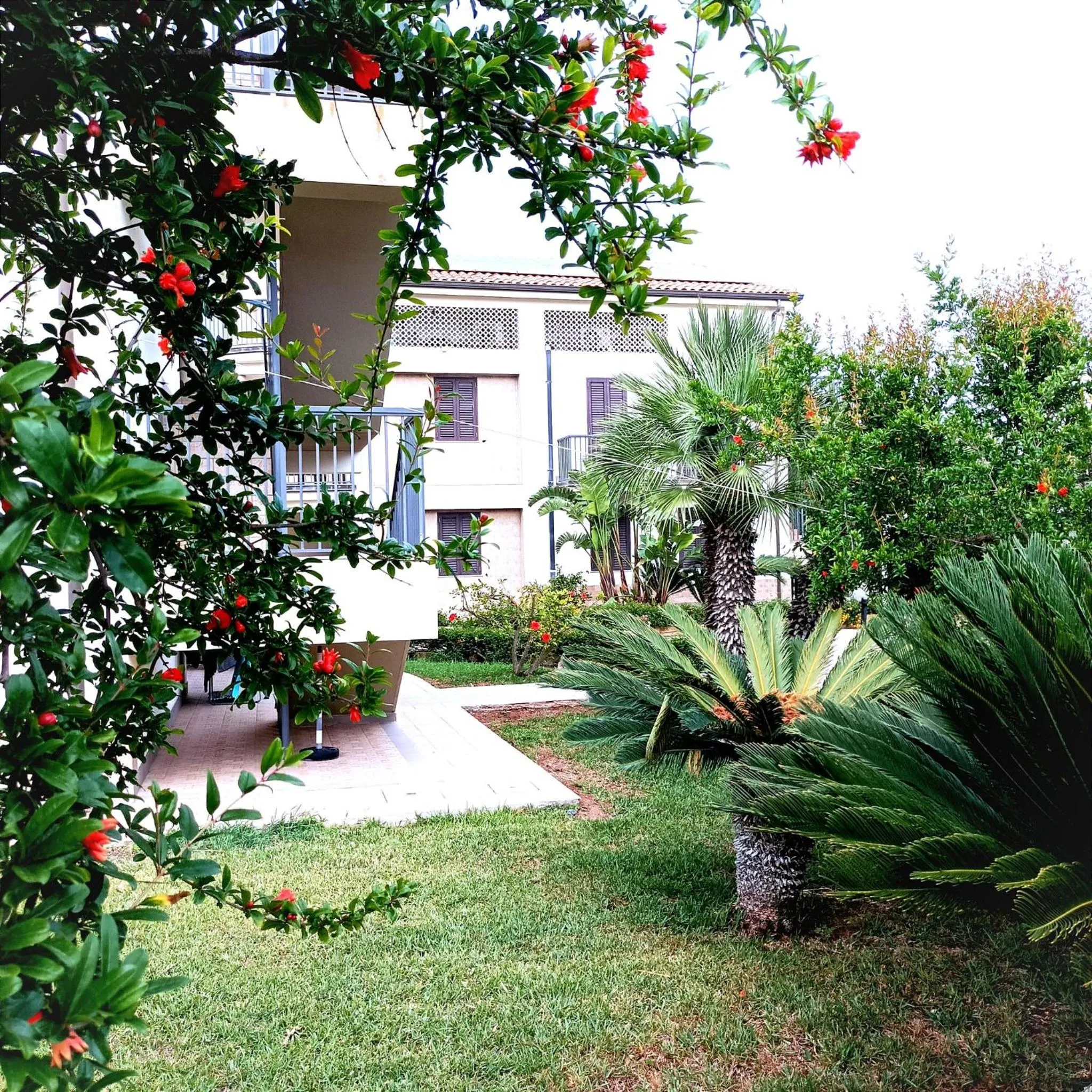 Property building in IL MELOGRANO RESIDENCE MARZAMEMI