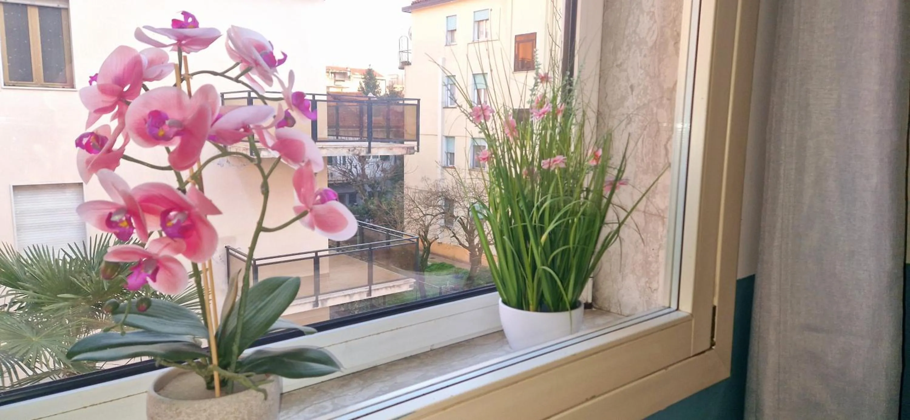 Property building in Hotel Tito