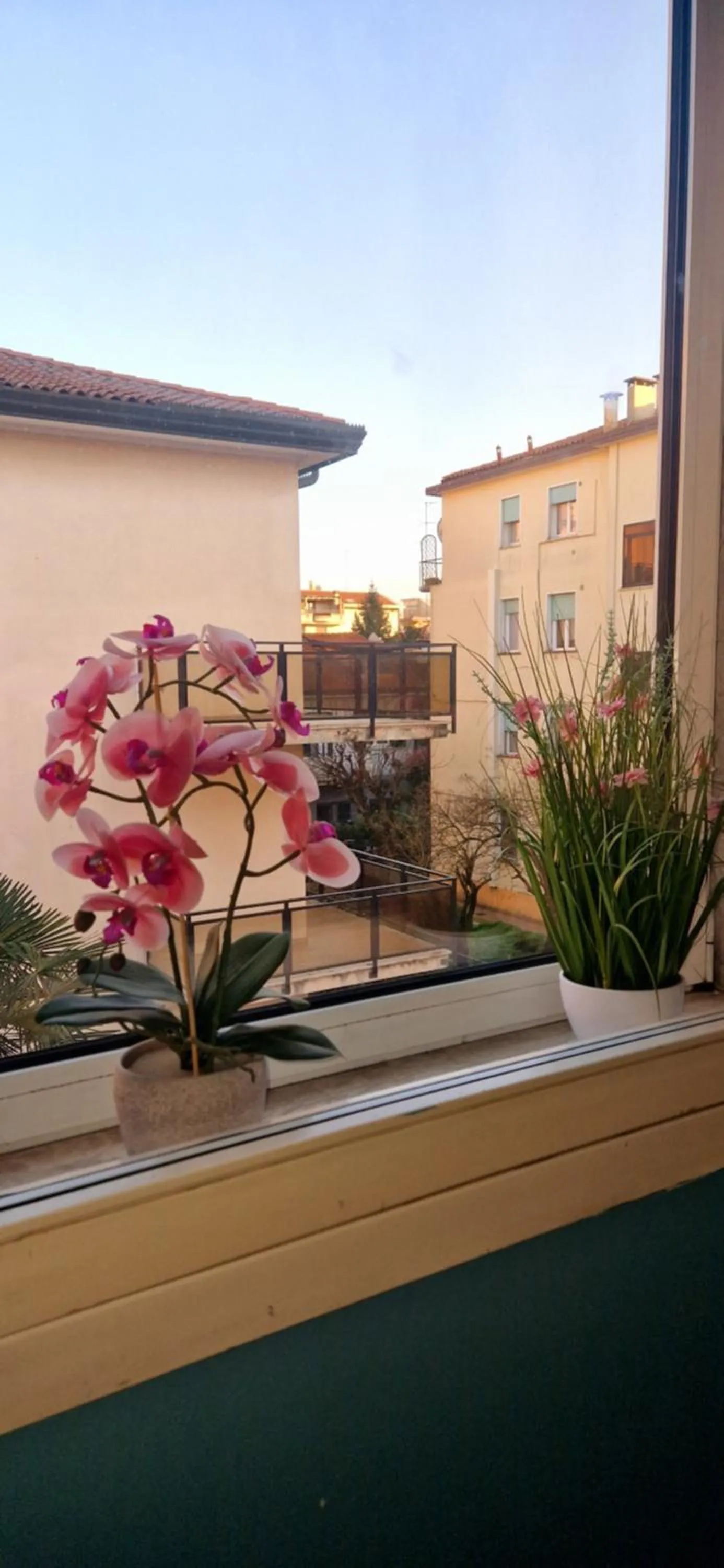 Property building in Hotel Tito