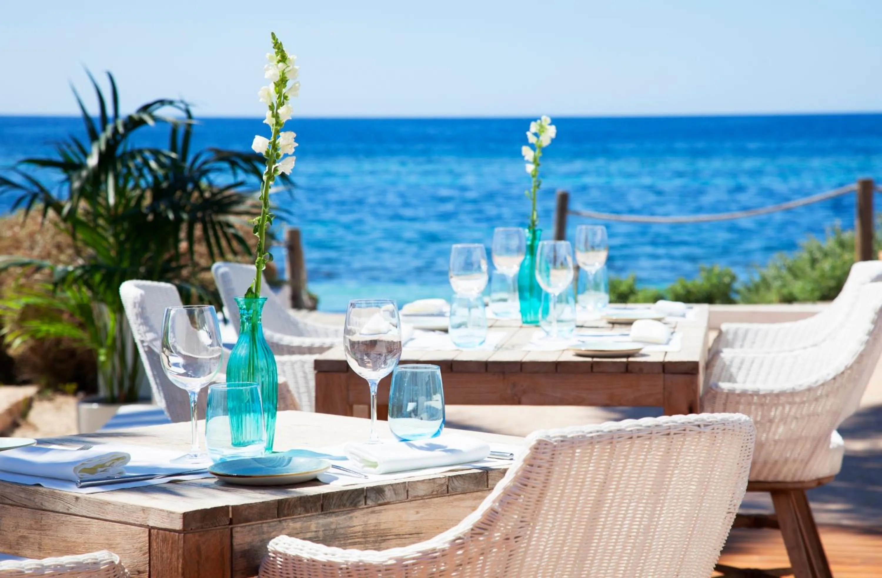 Restaurant/places to eat in Gecko Hotel & Beach Club