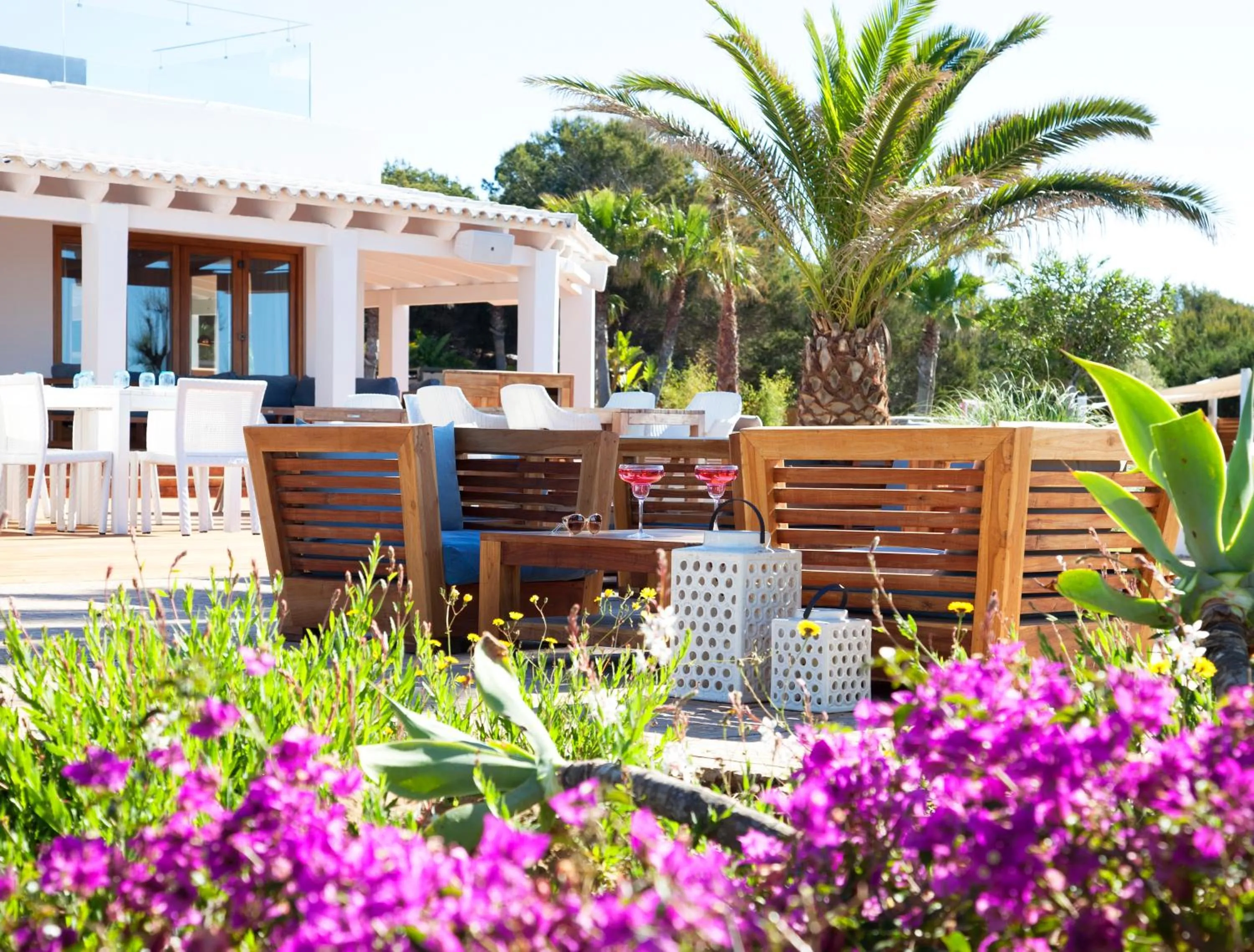 Restaurant/places to eat in Gecko Hotel & Beach Club