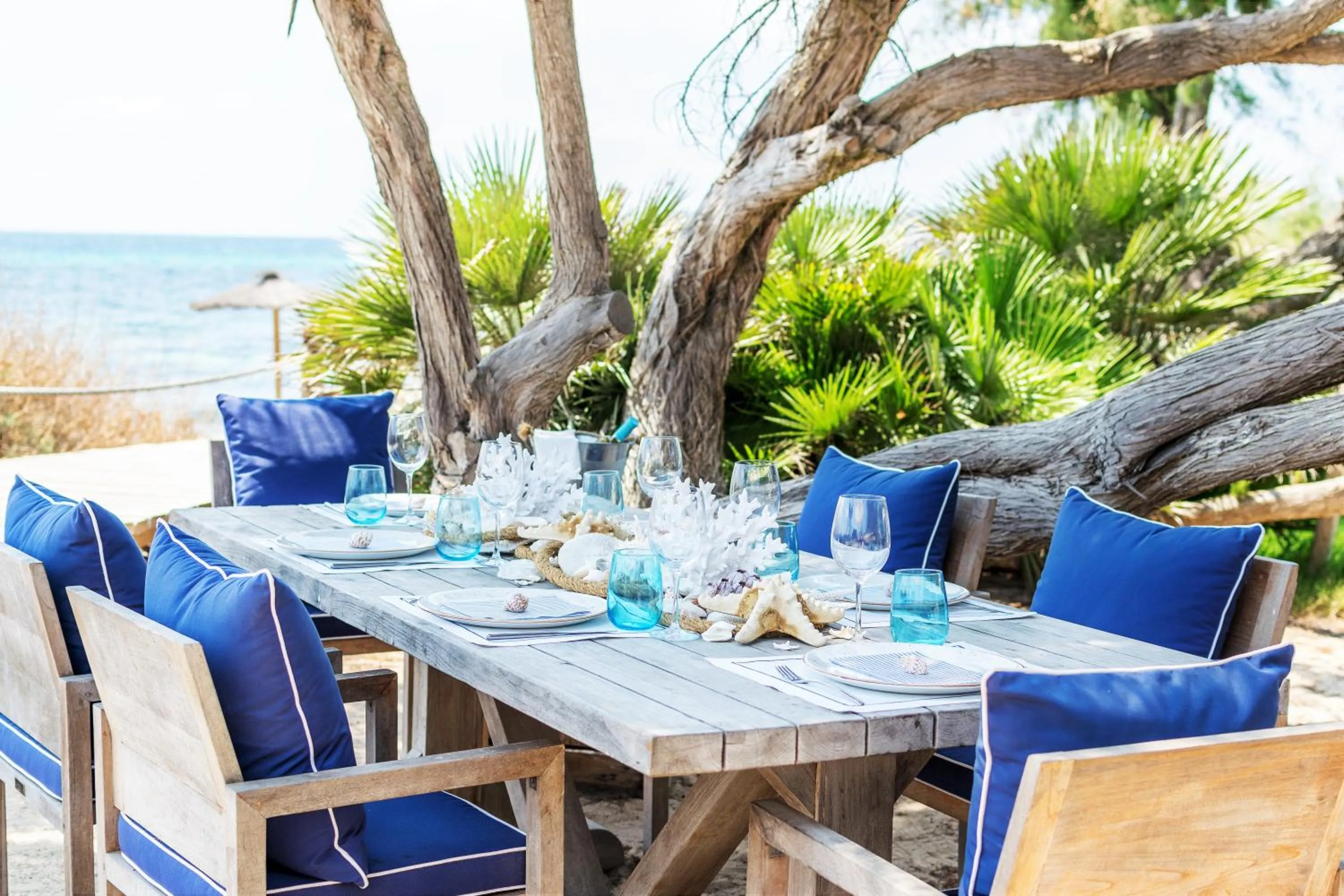 Day in Gecko Hotel & Beach Club