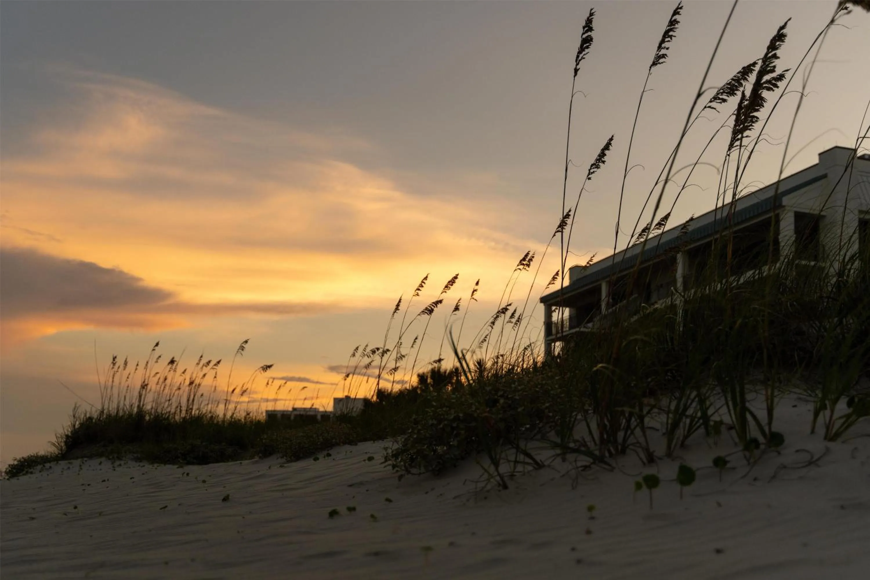 Beach in The Ellie Beach Resort Myrtle Beach, Tapestry By Hilton