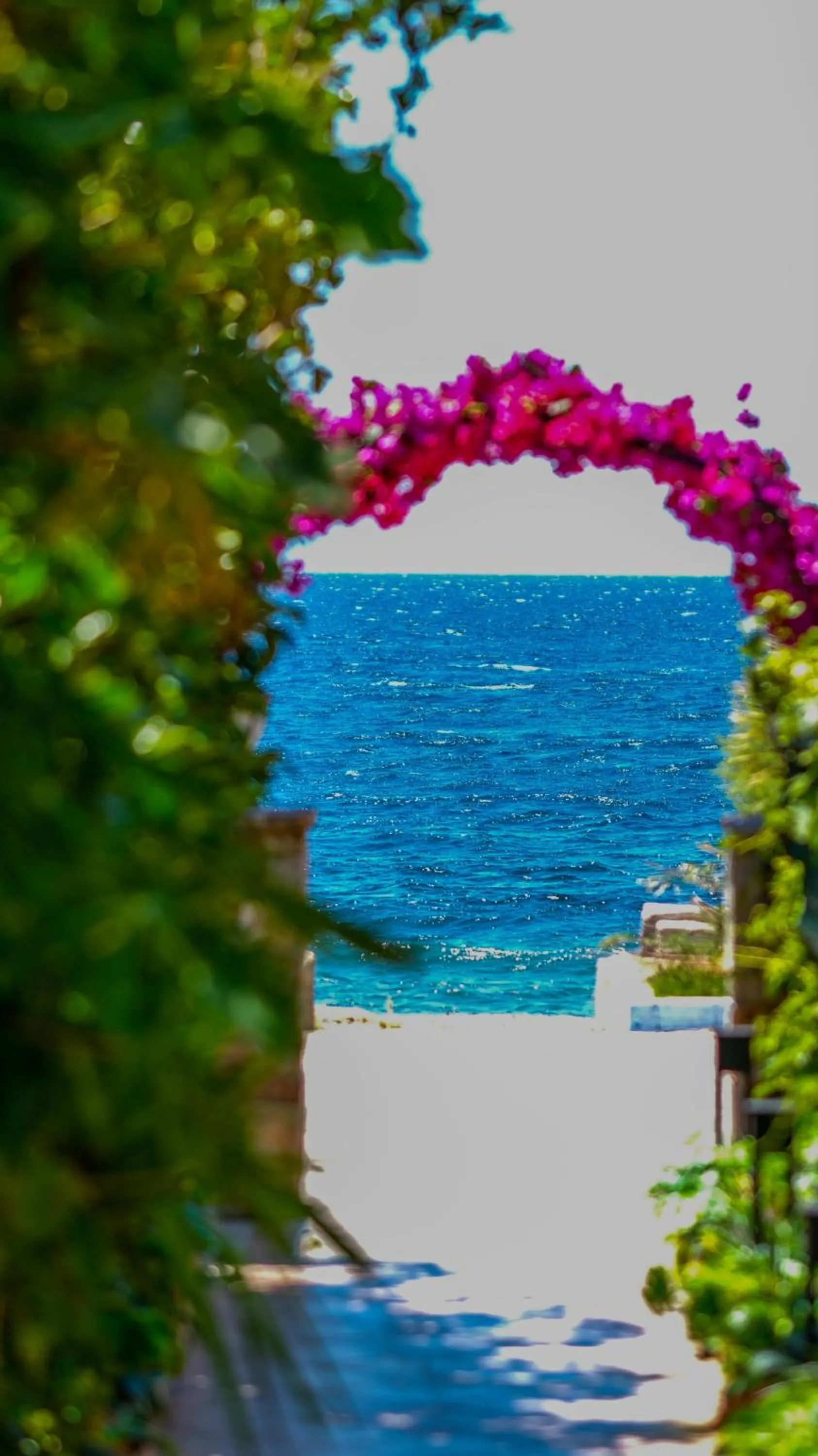 Natural landscape in Lizbonia Hotels Bodrum