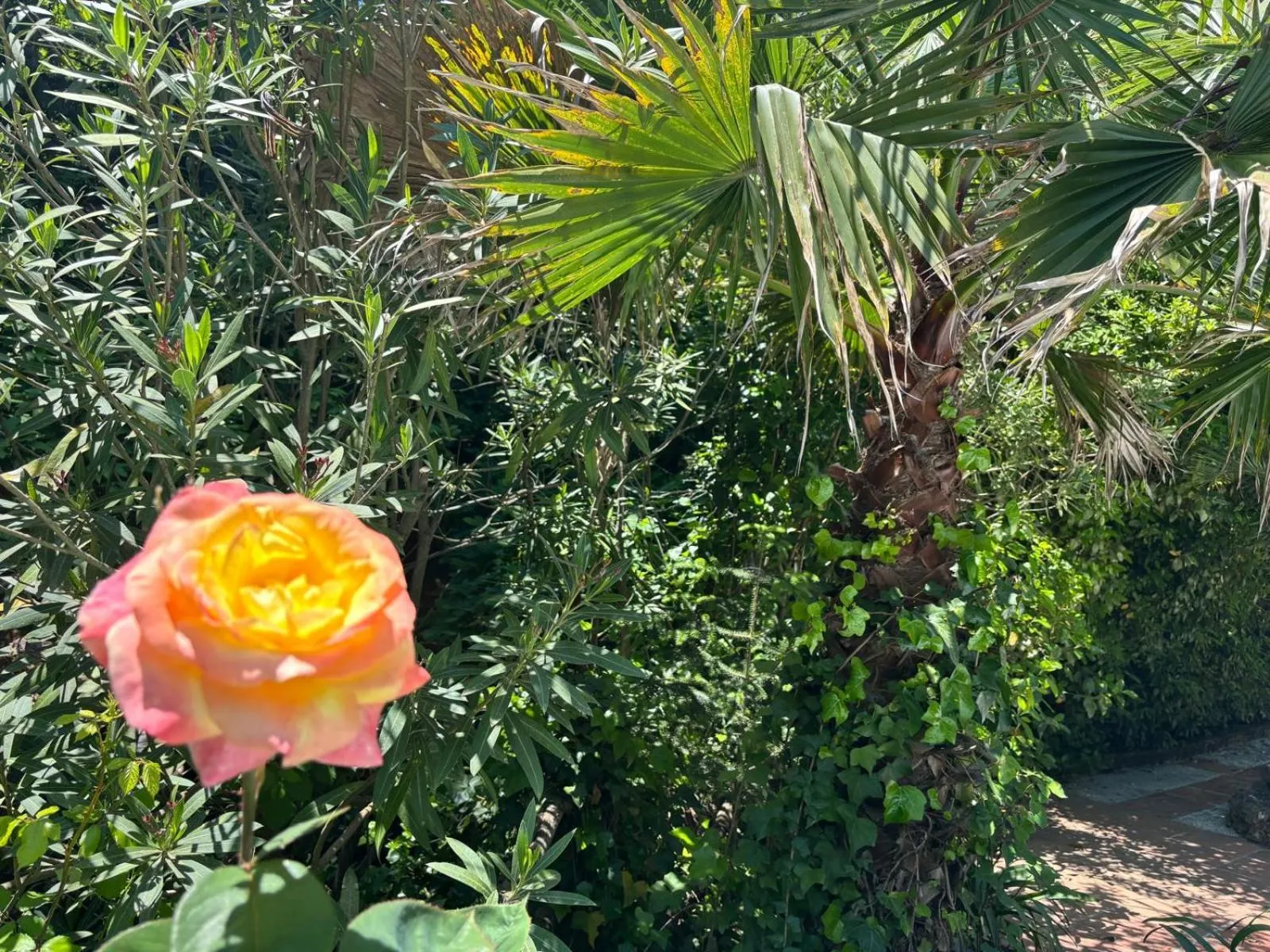 Hotel El Refugio de Juanar