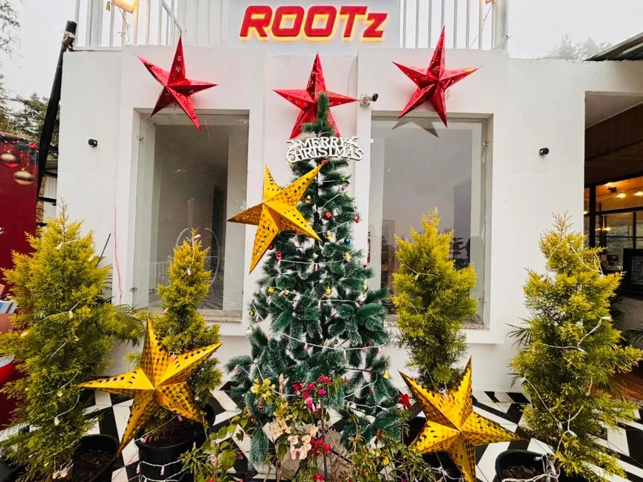 Rootz