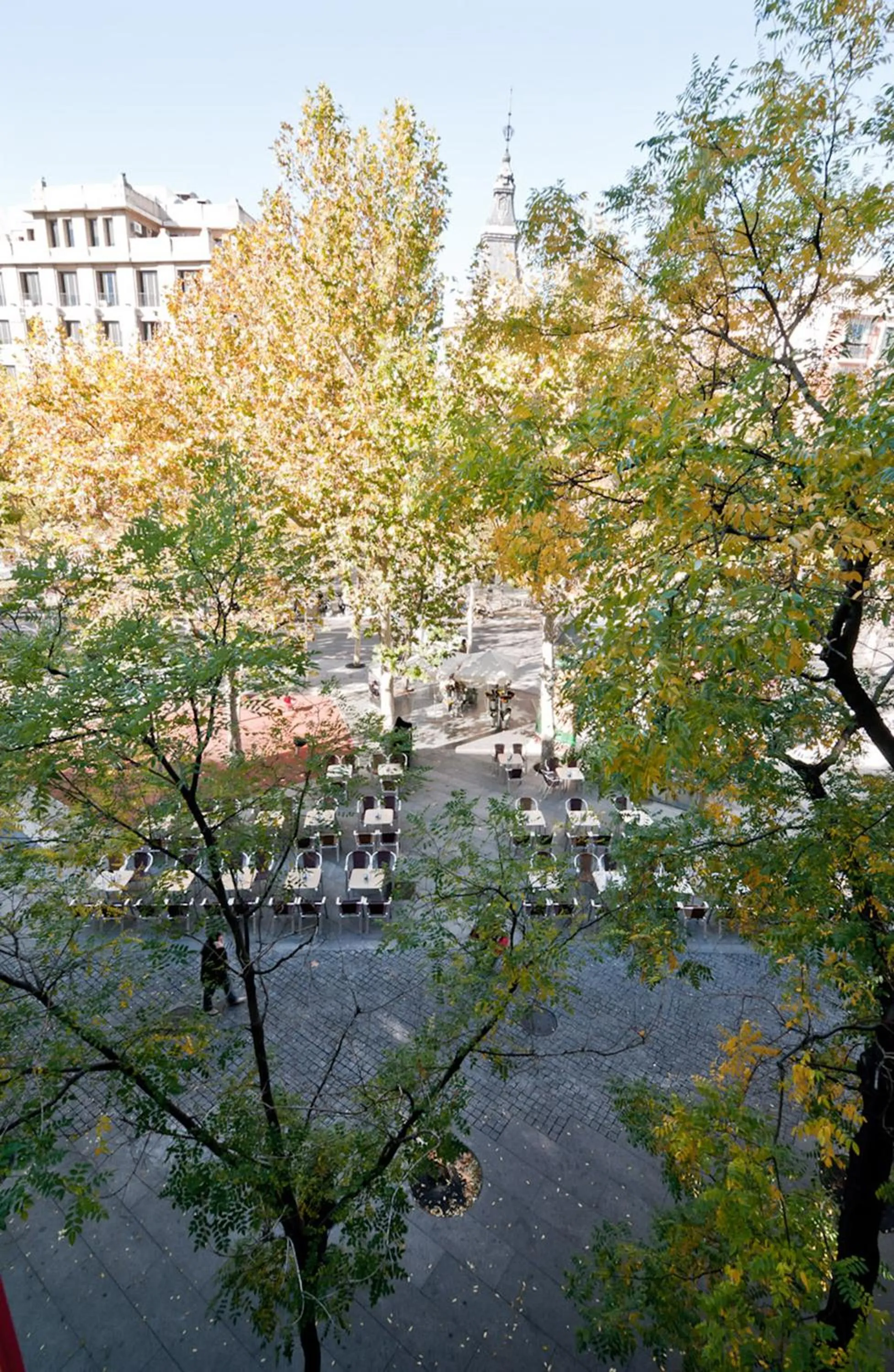 Area and facilities in Hostal Asunción