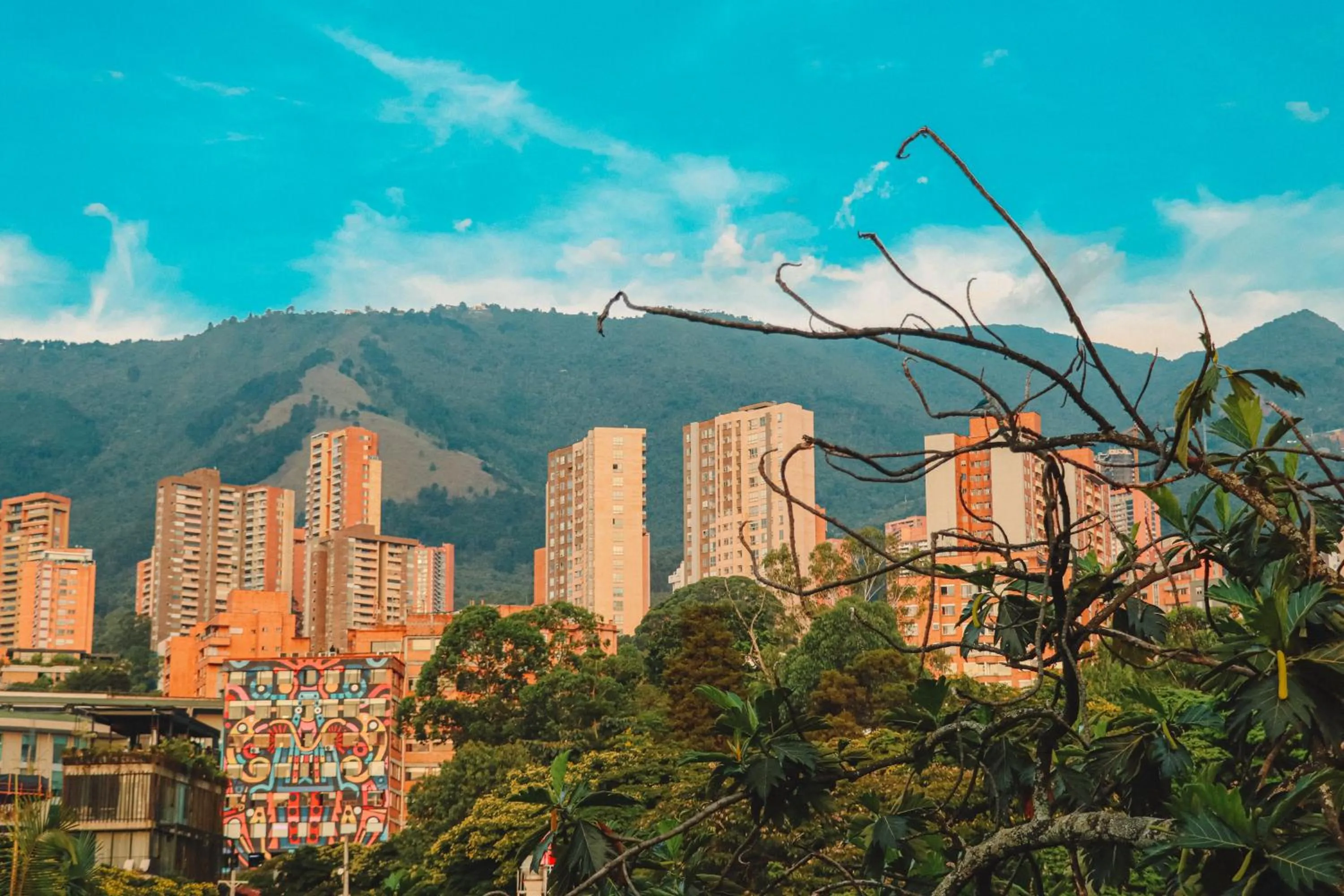 Mountain view in The O by Seekers Medellín