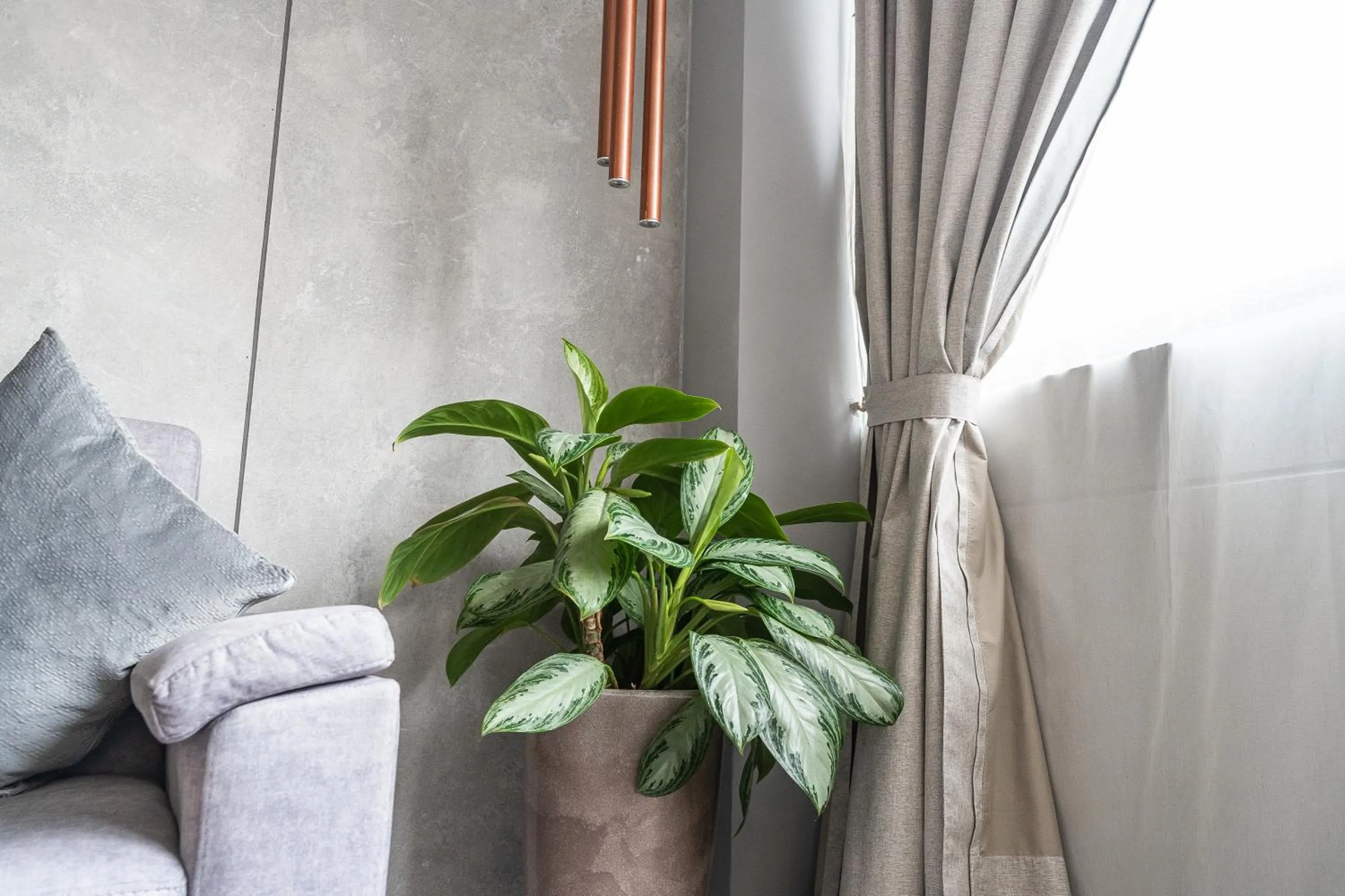 Living room in The O by Seekers Medellín