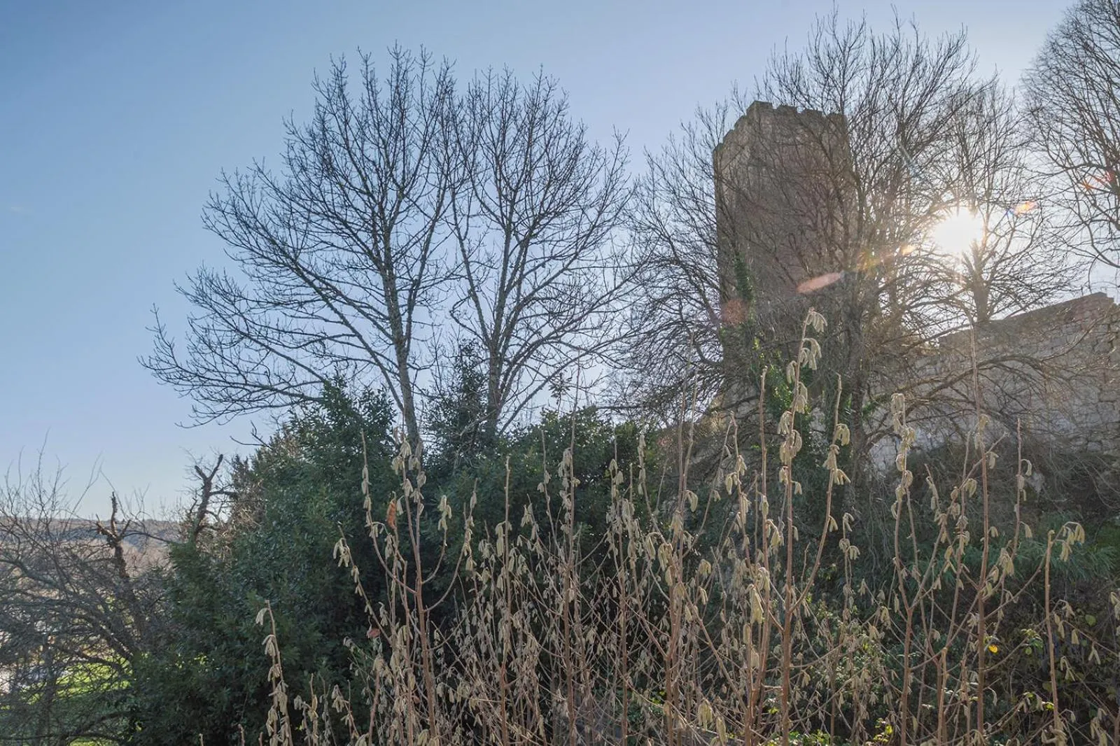 View (from property/room) in Hotel Auberge du Fin Chapon
