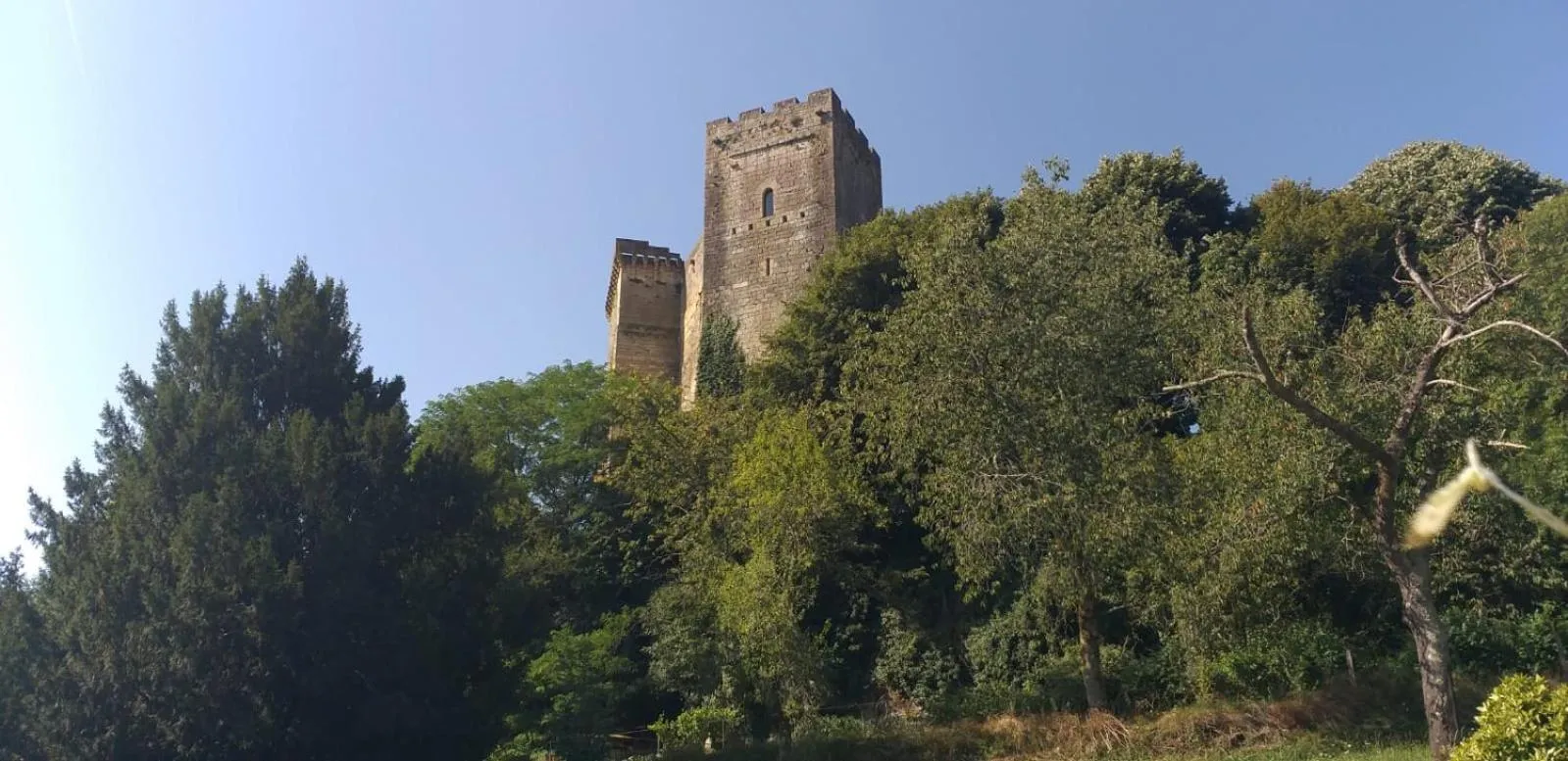Garden view in Le Fin Chapon