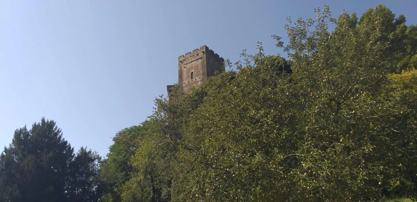 Garden view in Le Fin Chapon