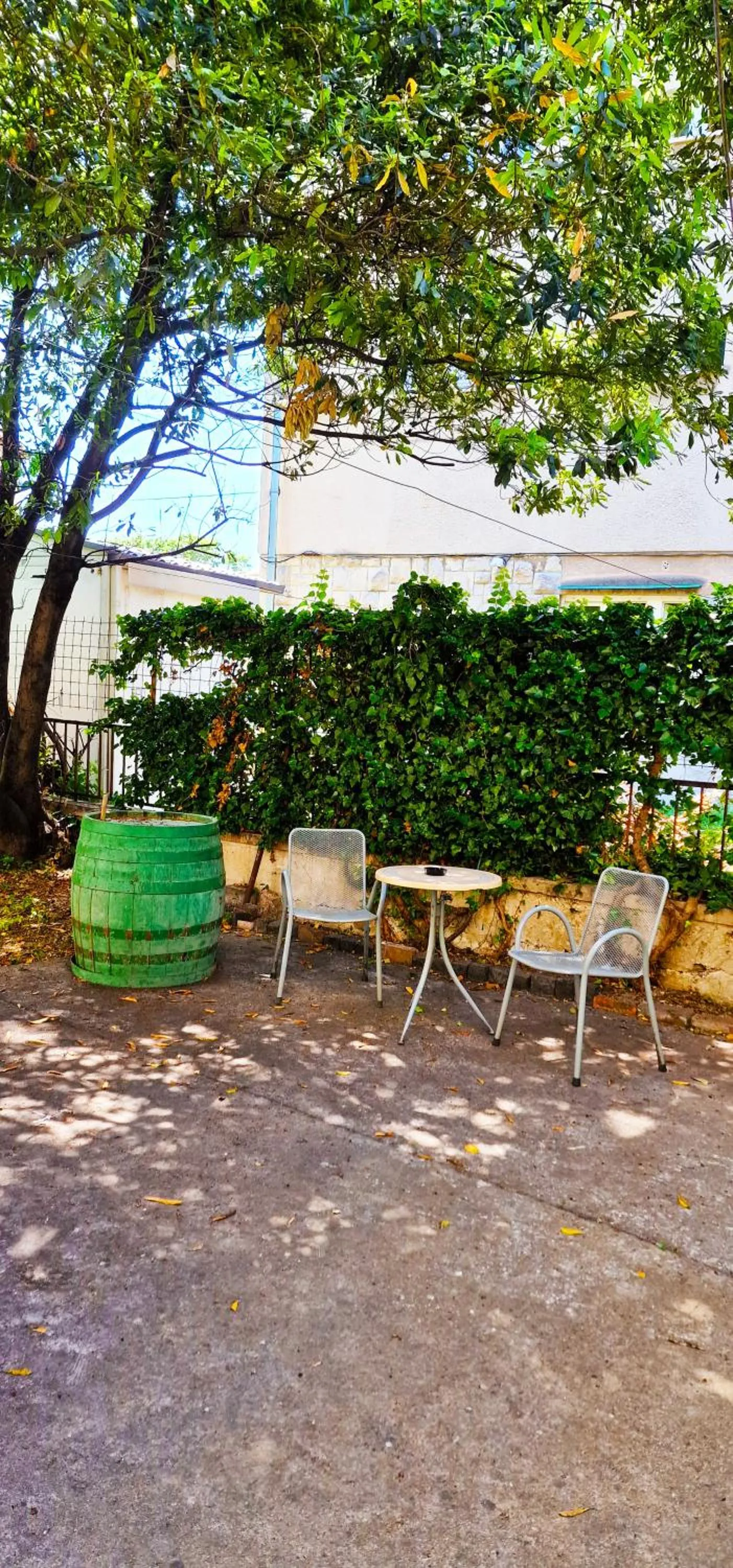 Garden in Croparadise Hostel