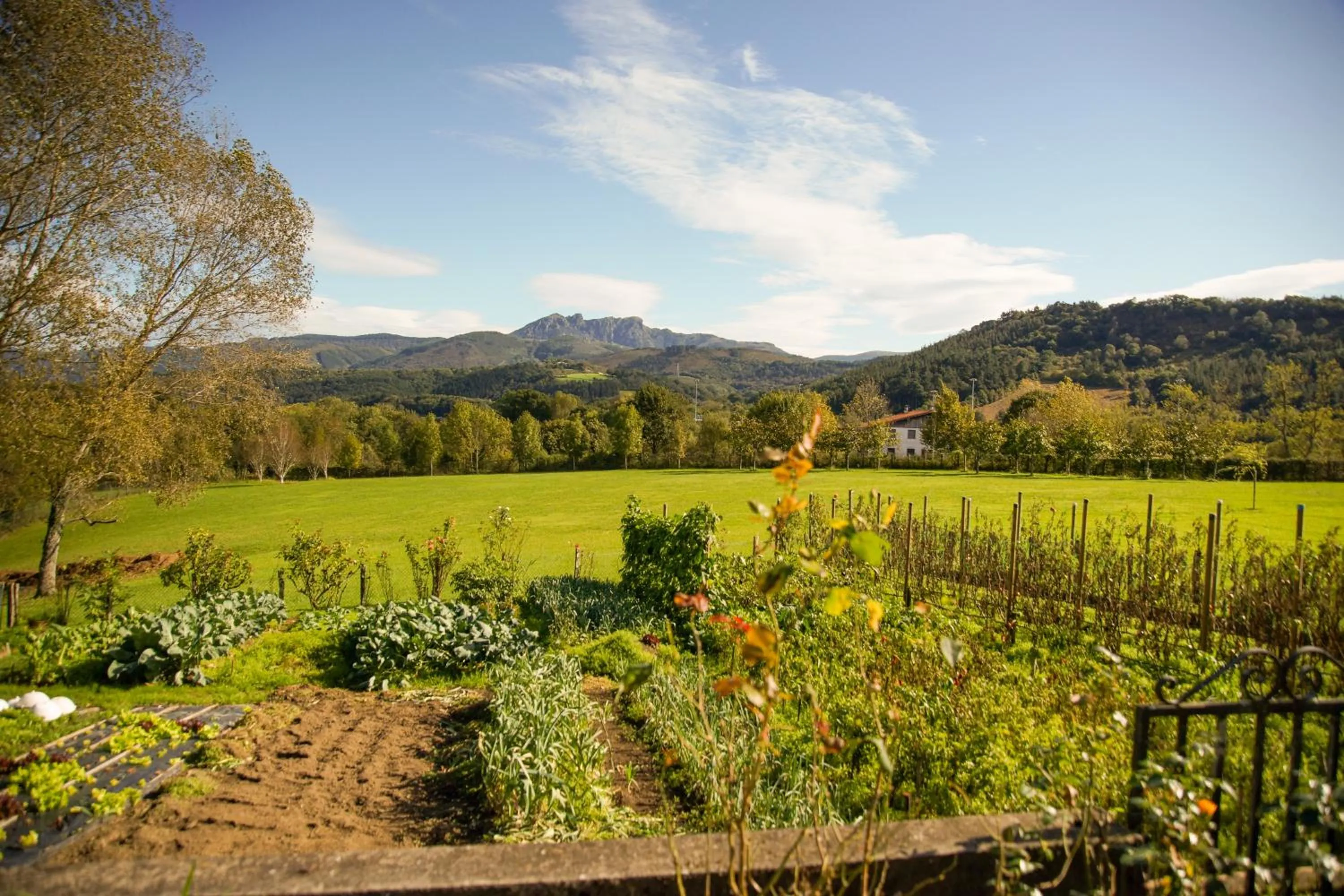 Garden view in Usategieta