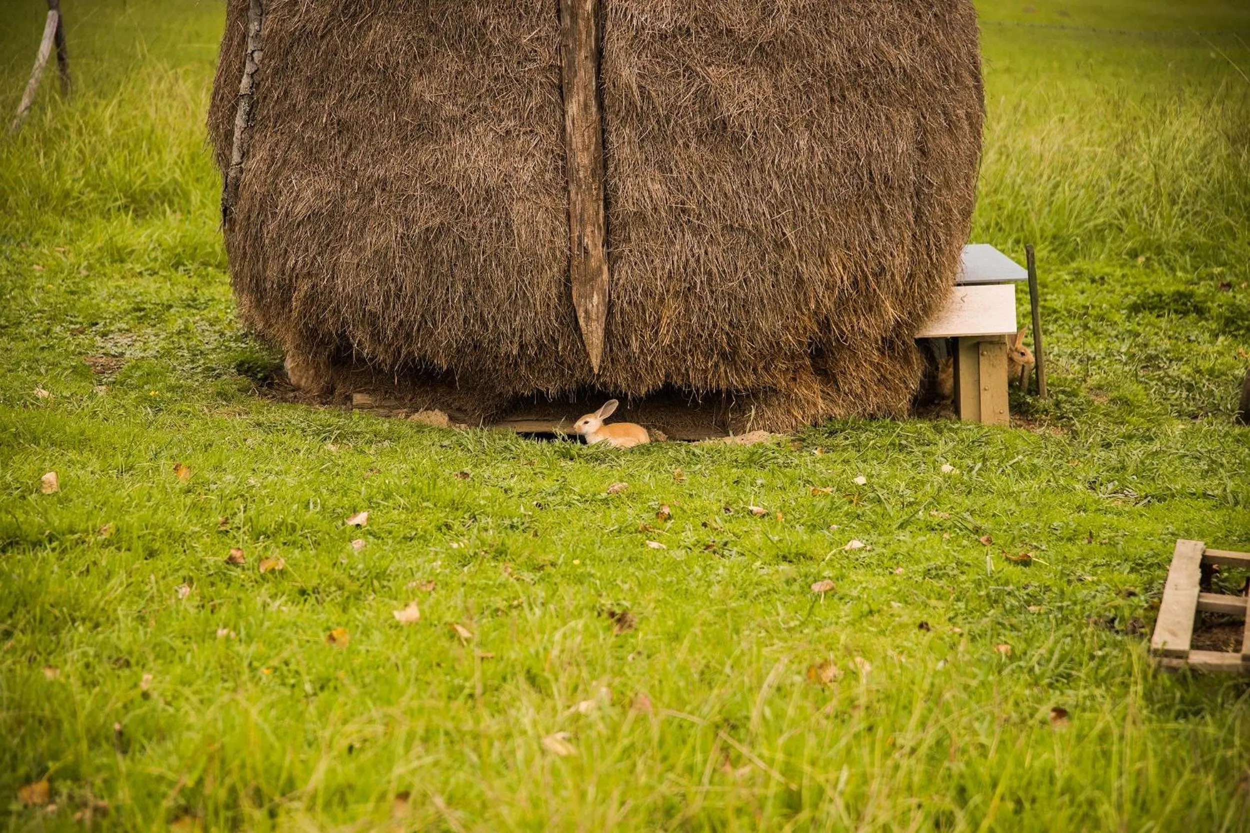 Natural landscape in Usategieta