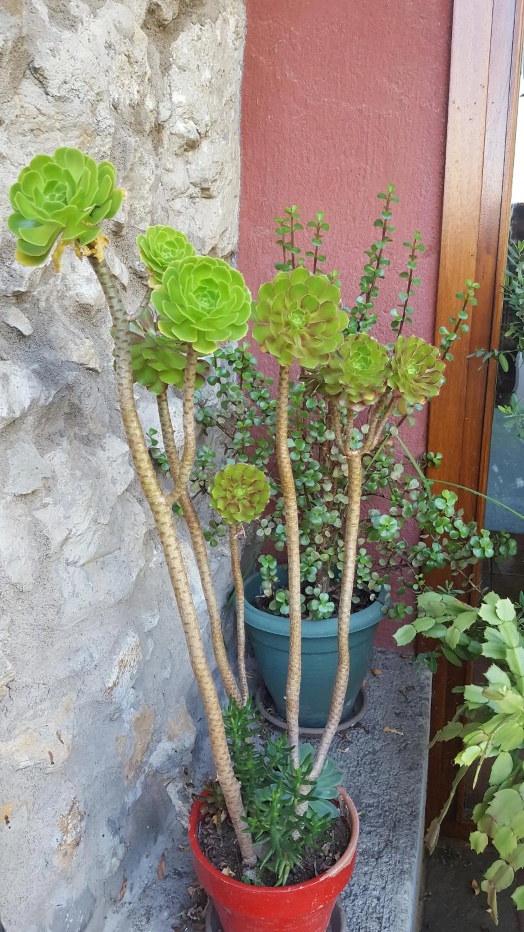 Facade/entrance in Usategieta