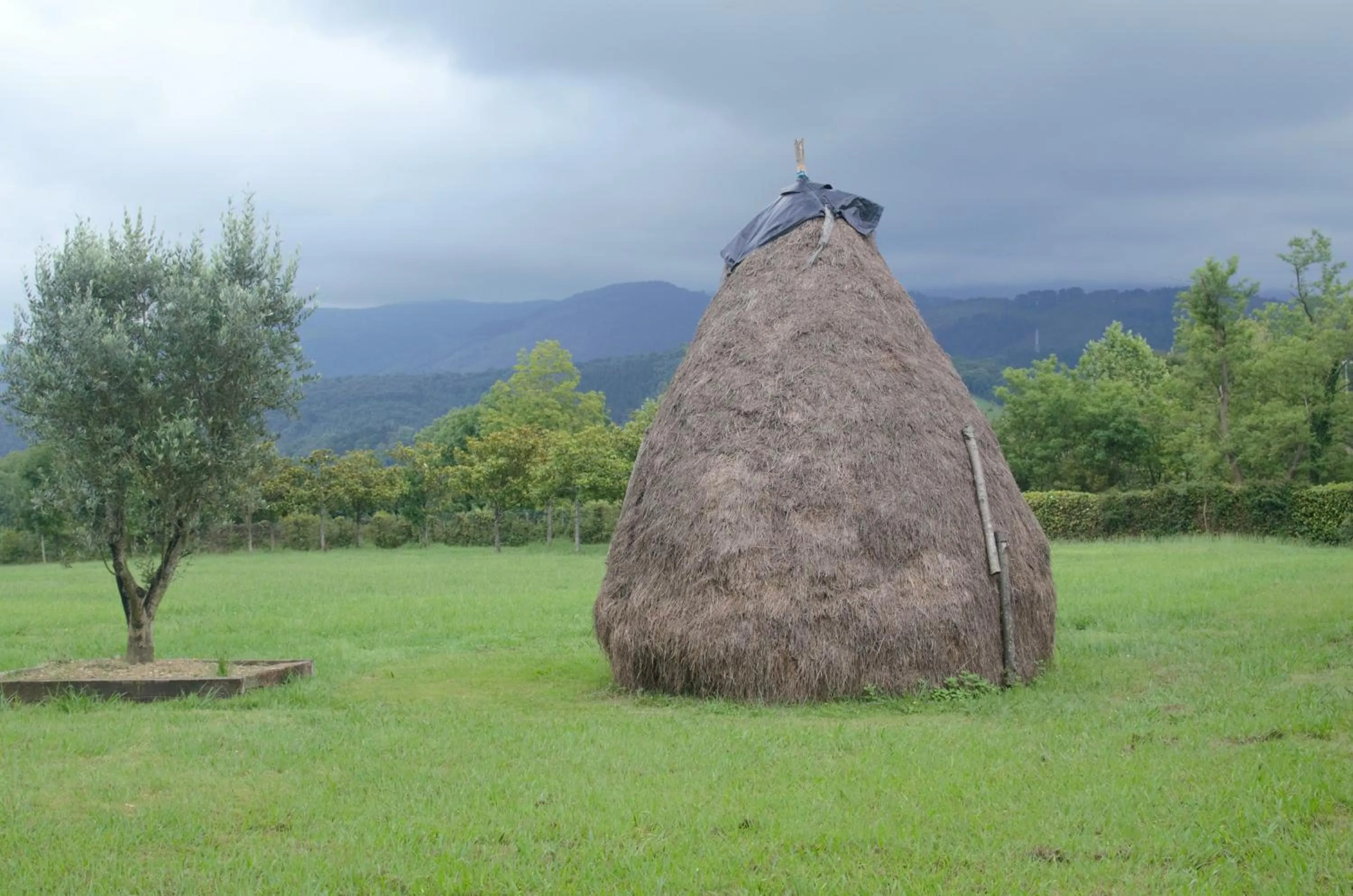 On site in Usategieta