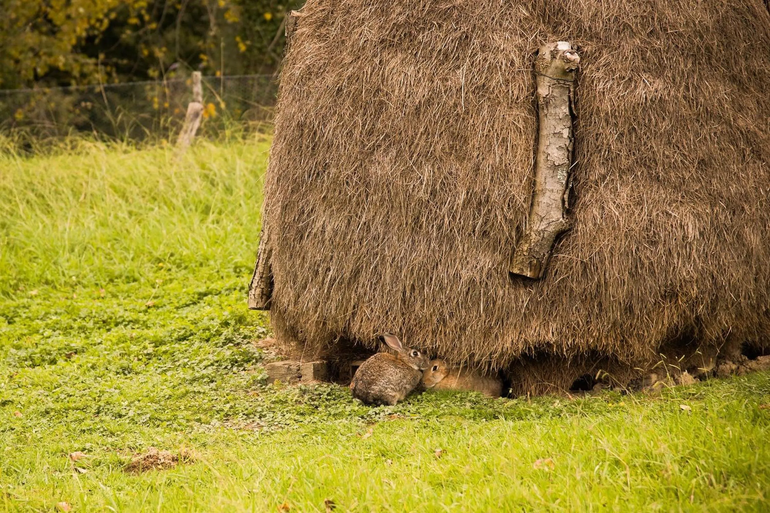 Natural landscape in Usategieta