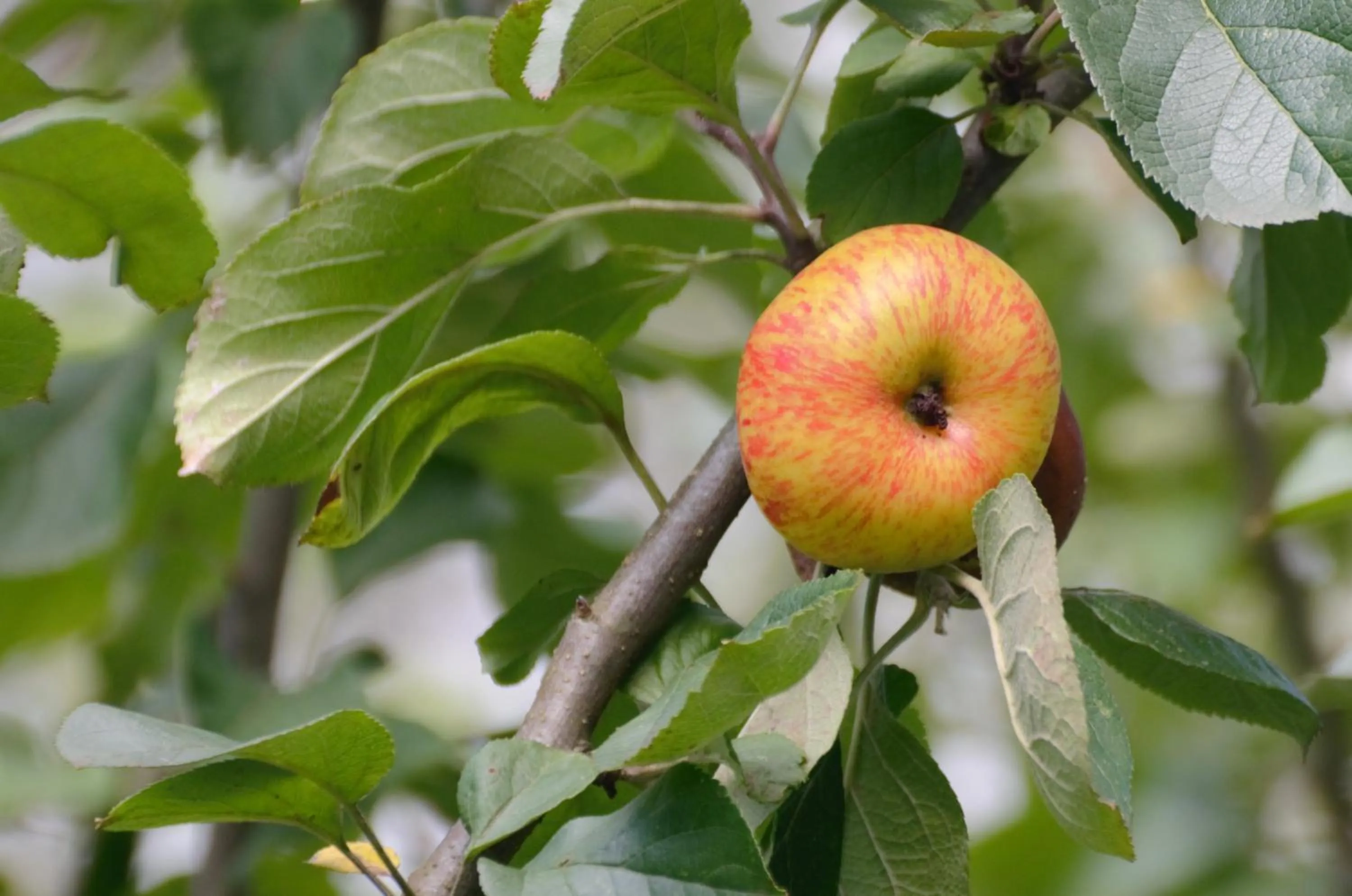 Off site in Usategieta