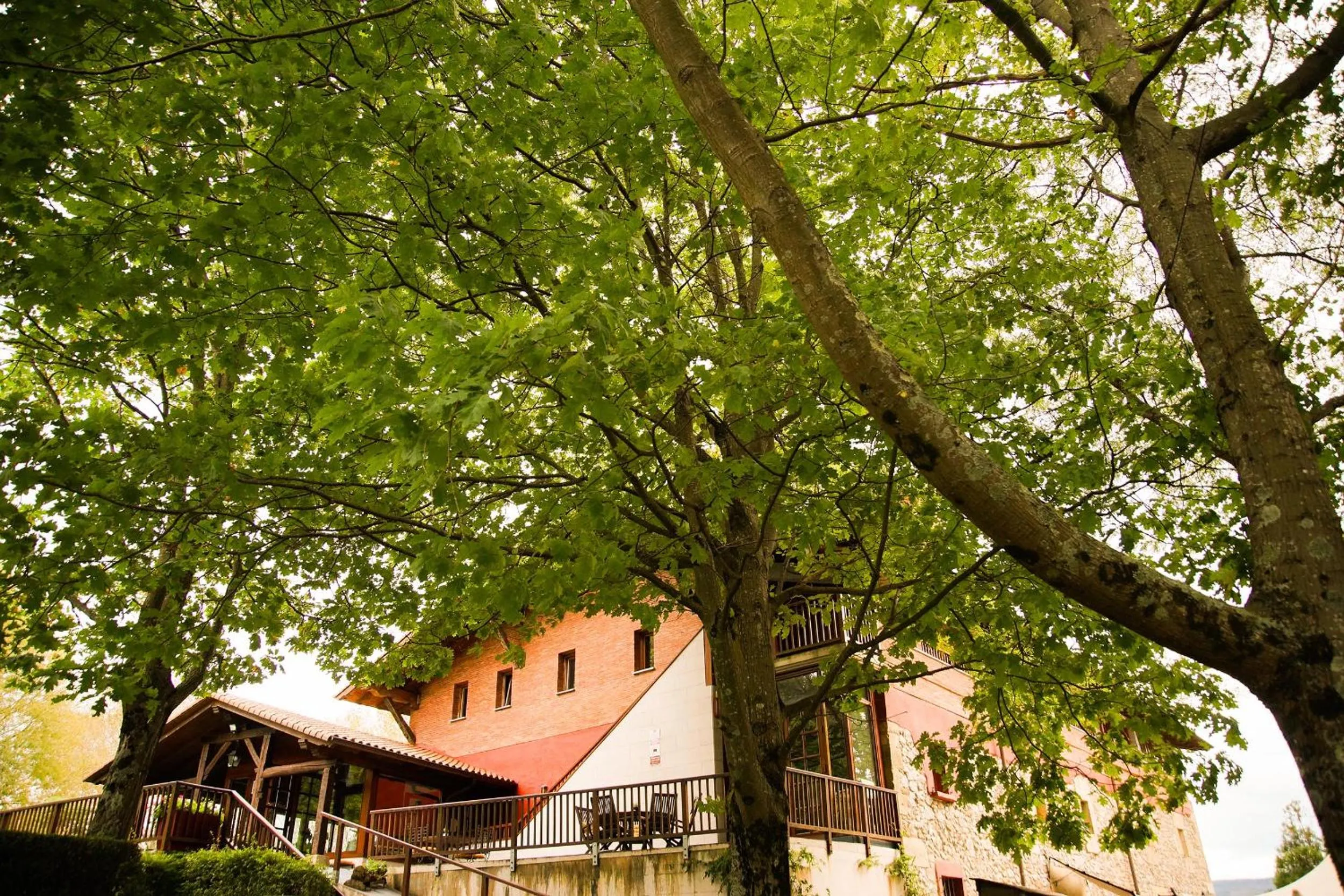 Property building in Usategieta