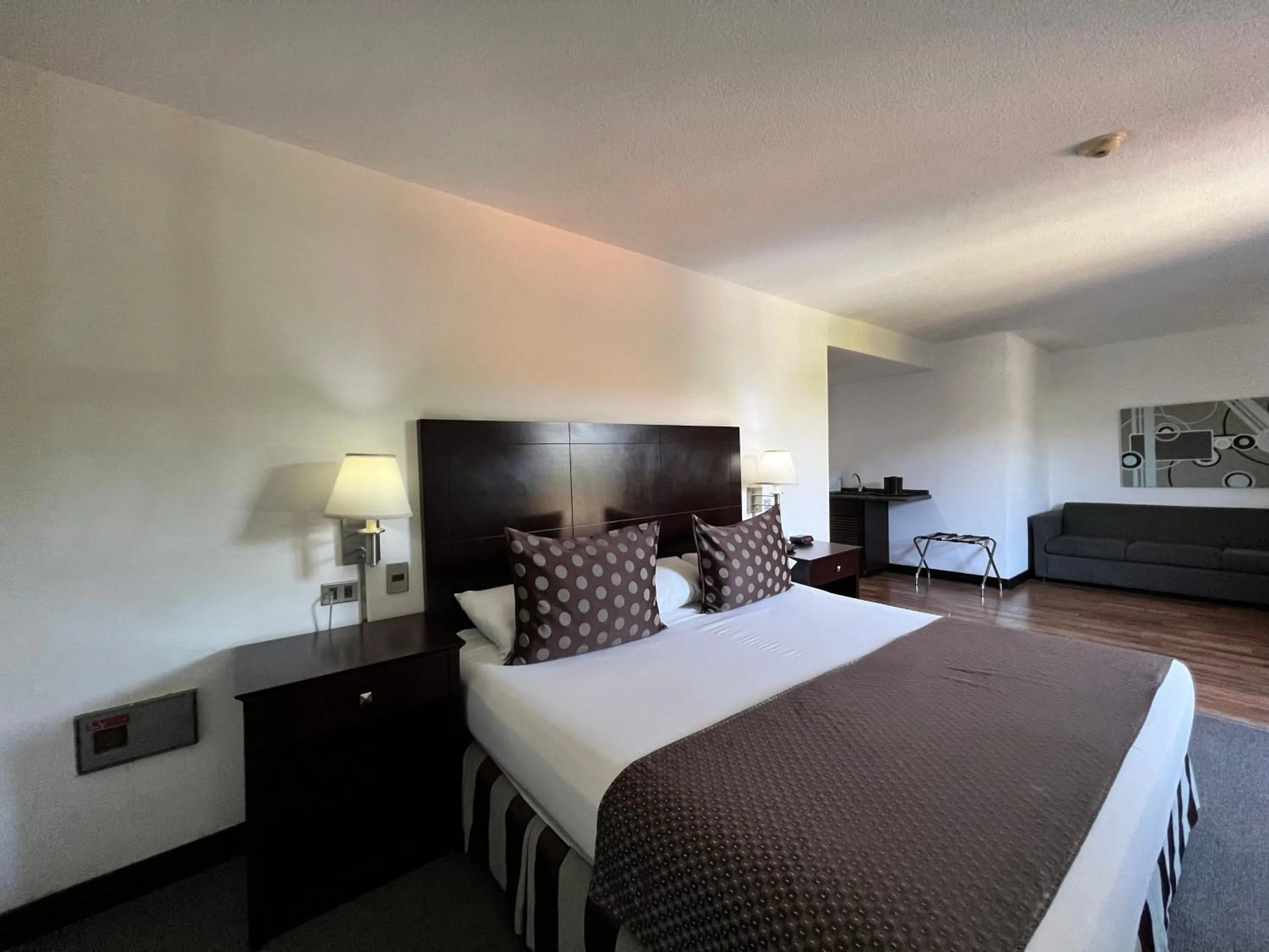 TV and multimedia in Hotel GH Guaparo Suites Valencia