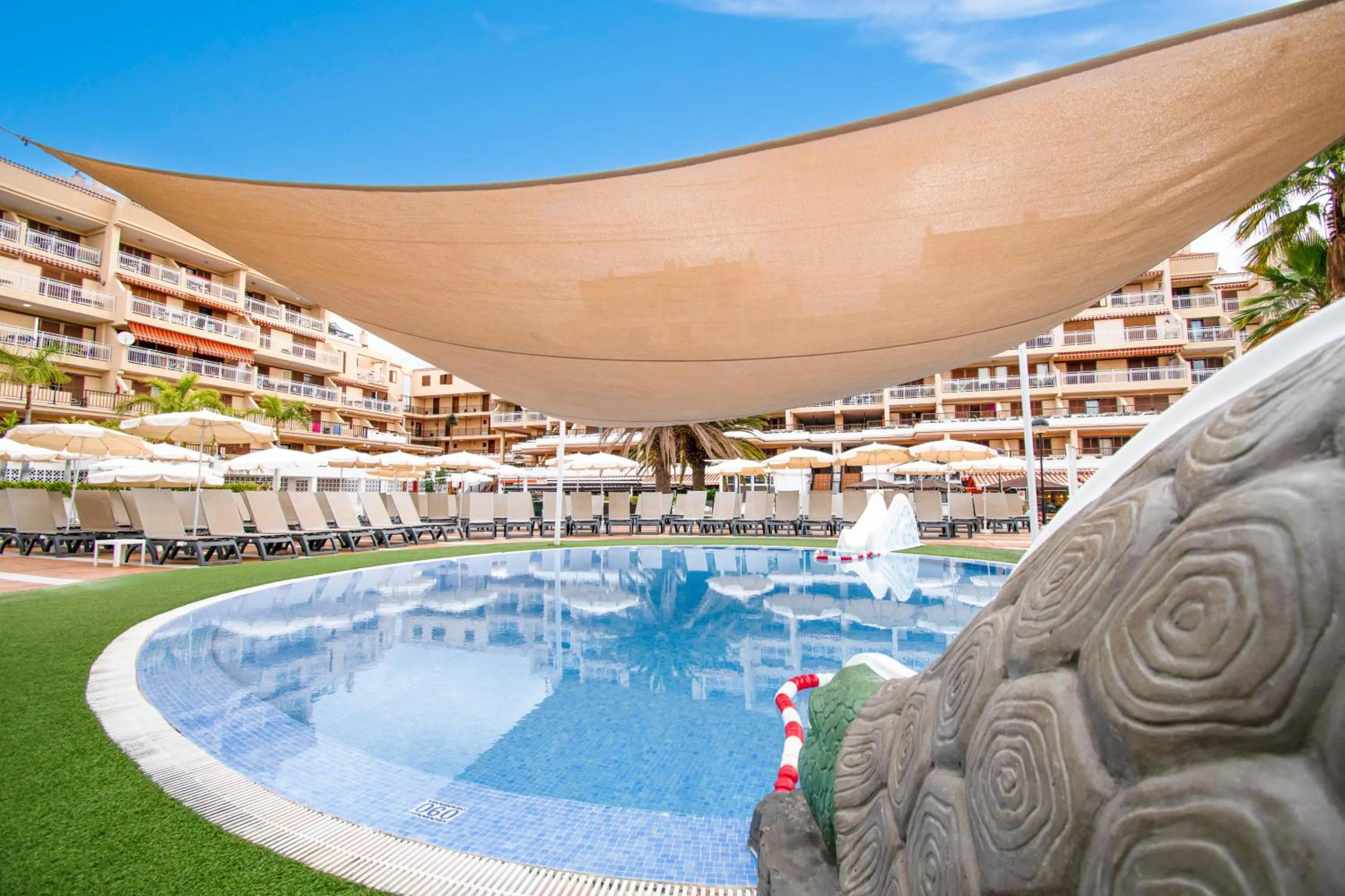 Photo of the whole room in Coral Compostela Beach