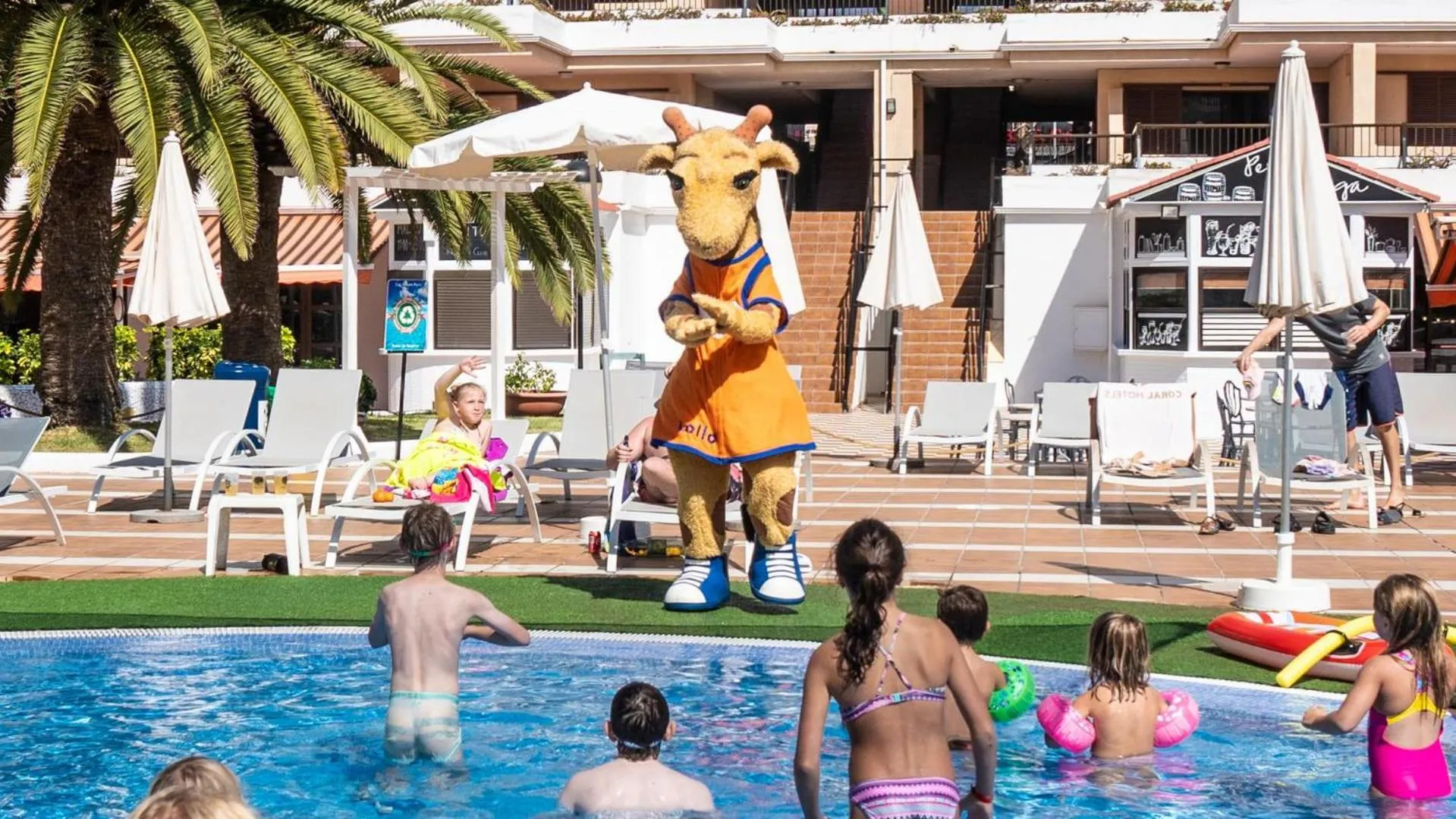 Photo of the whole room in Coral Compostela Beach