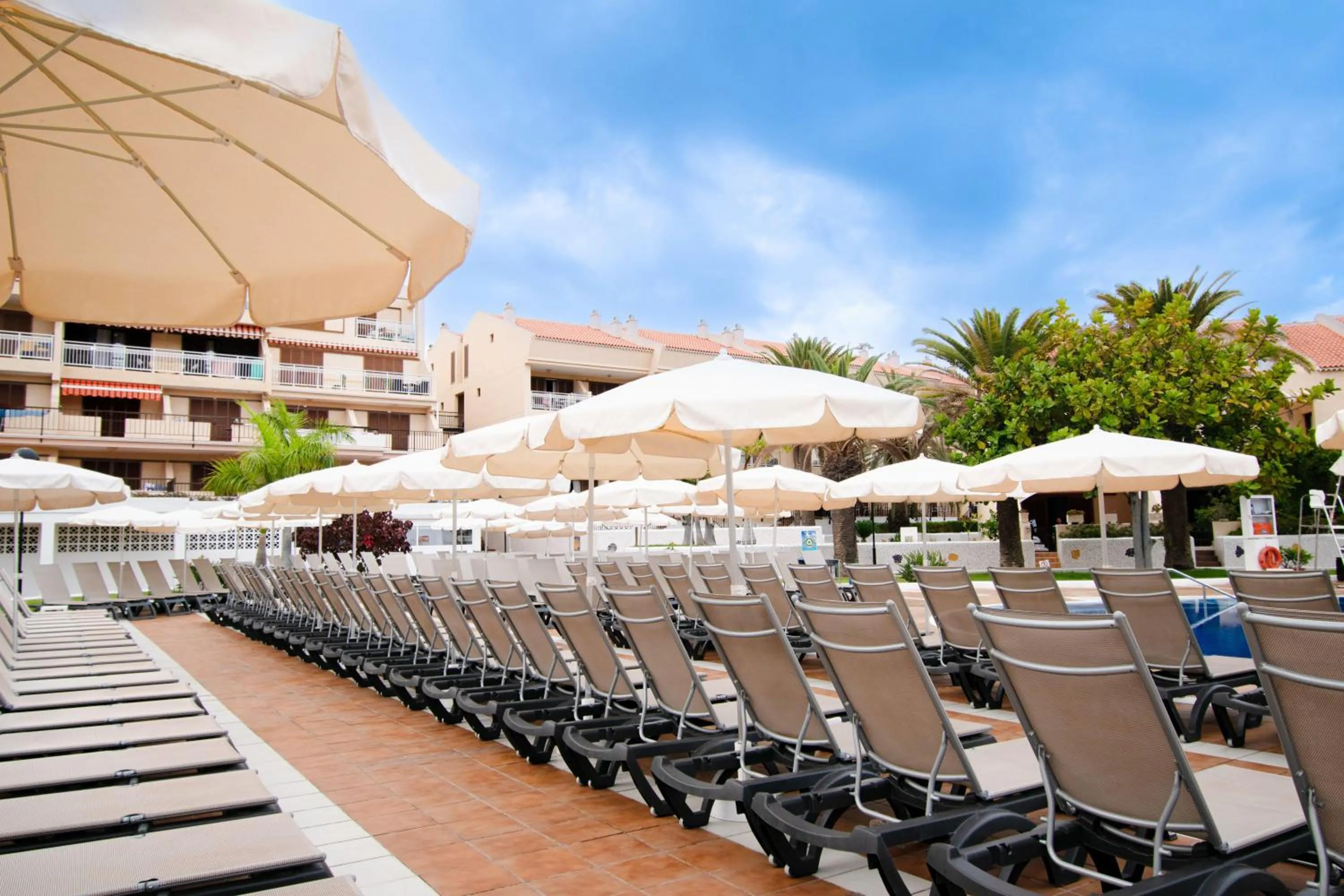 Photo of the whole room in Coral Compostela Beach