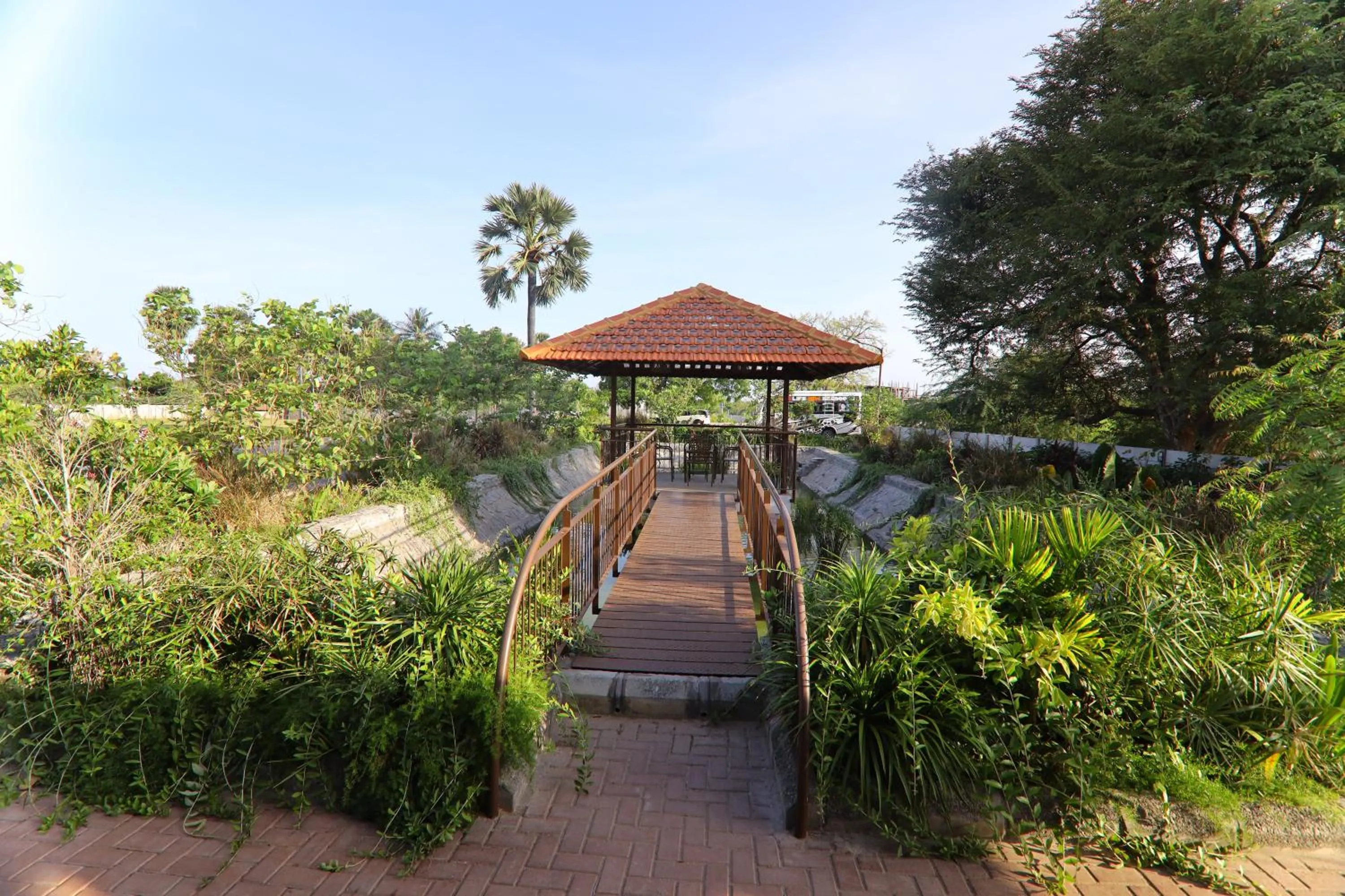 Garden view in LA PALMERA