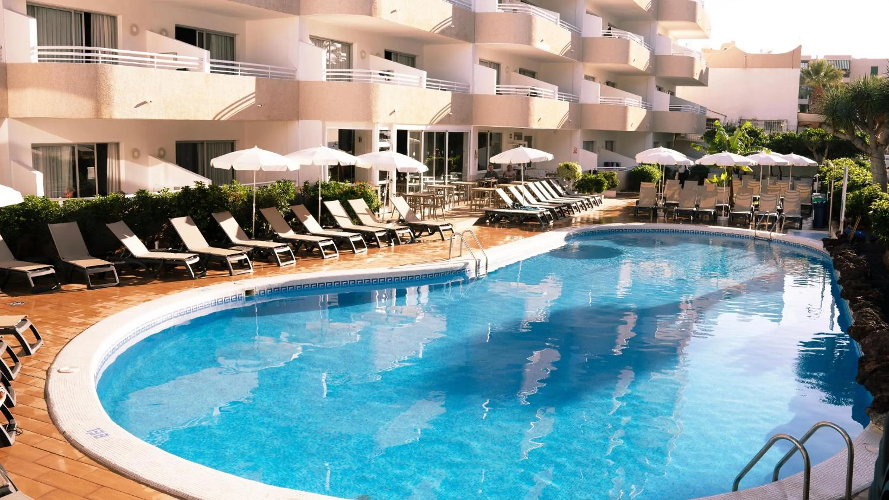 Swimming pool in Coral California - Adults Only