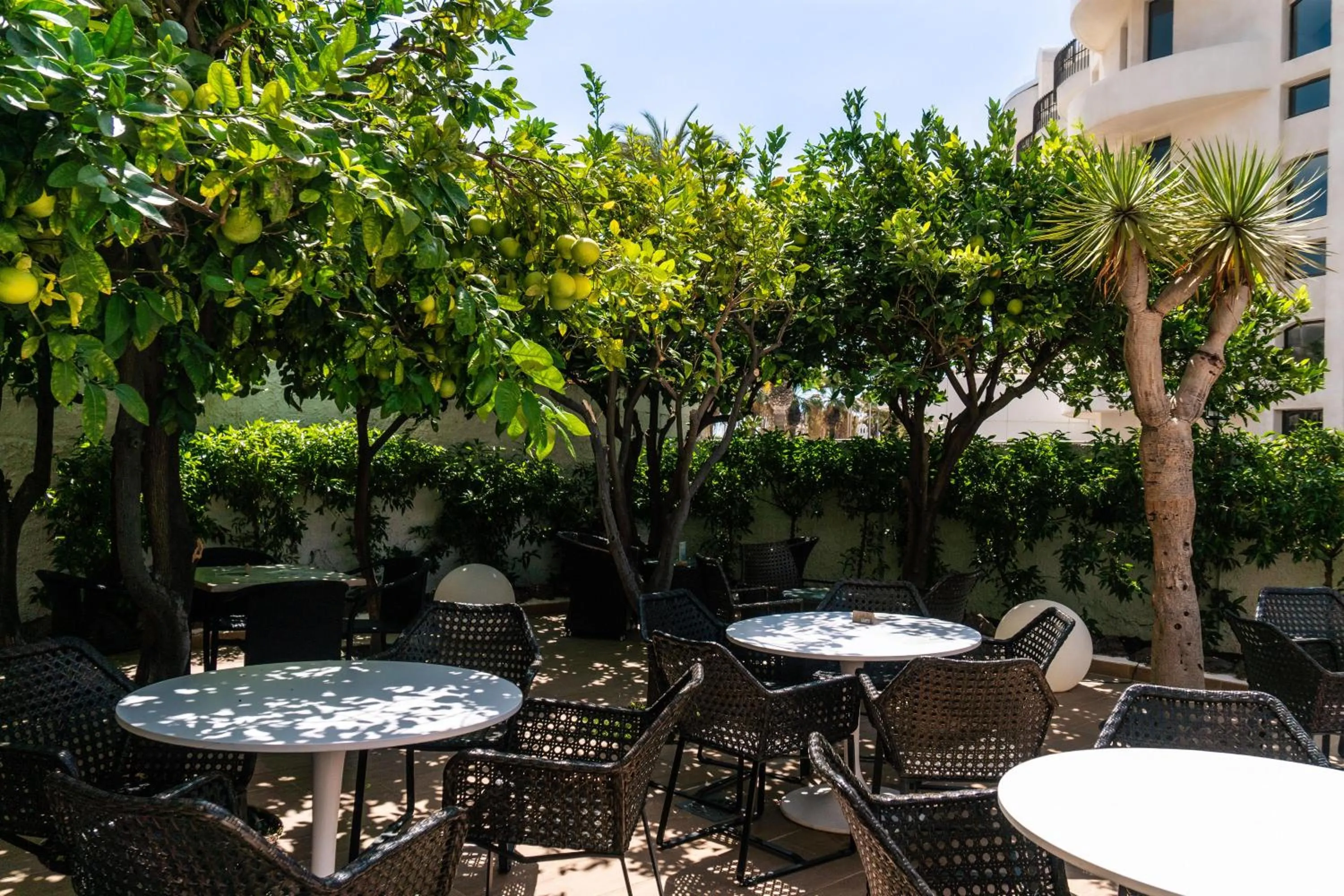 Balcony/Terrace in Coral California - Adults Only